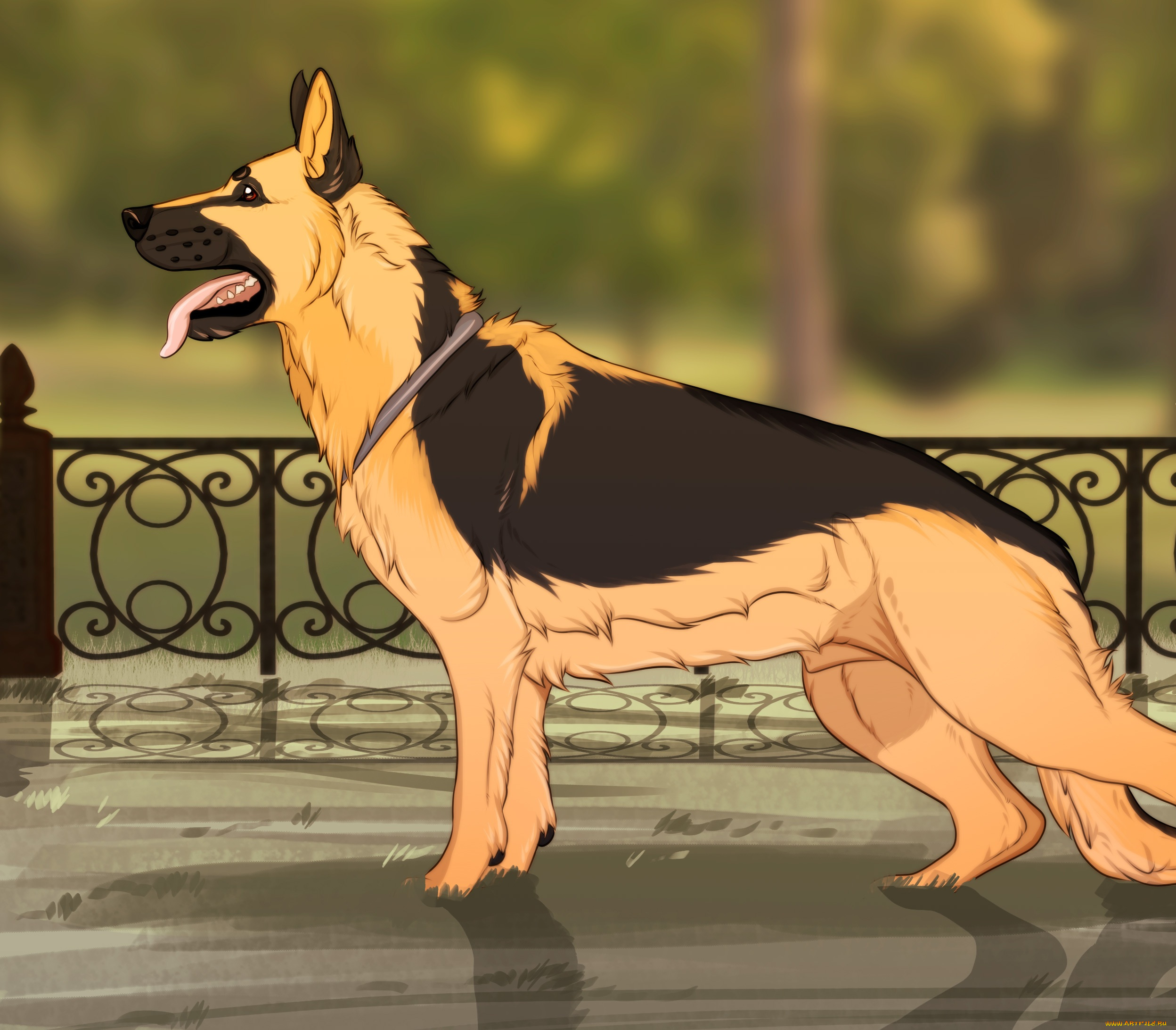 рисованные, животные, , собаки, овчарка, собака, арт