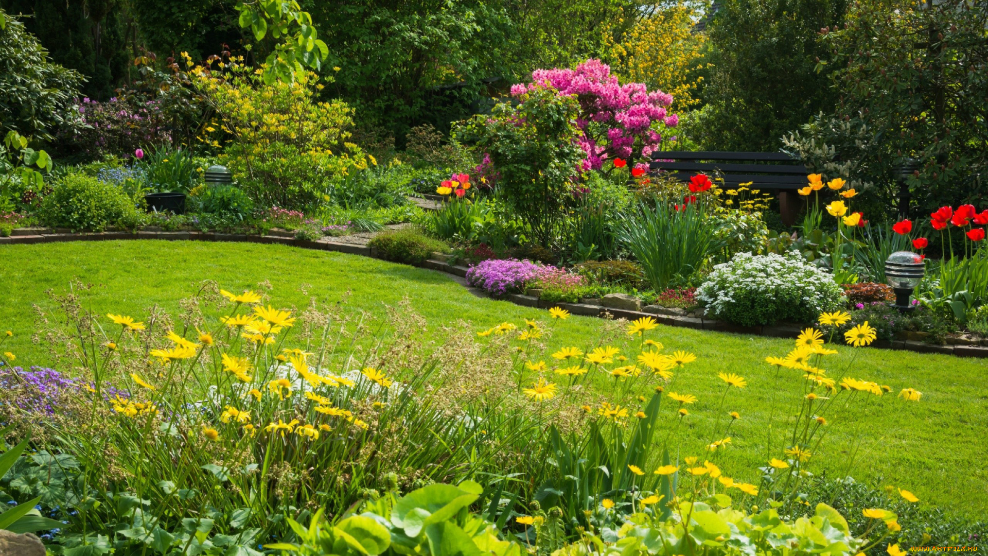 природа, парк, лужайка, клумбы, кусты