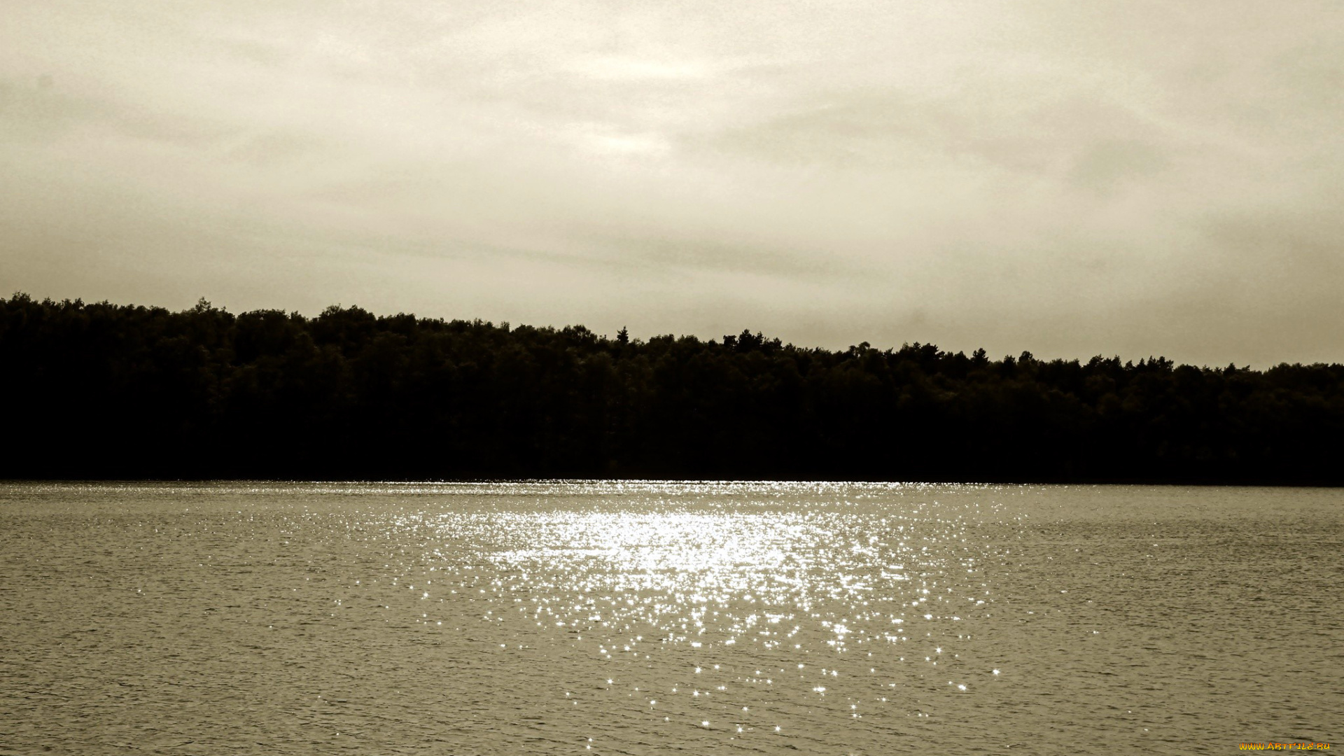 природа, реки, озера, простор, водный, блики