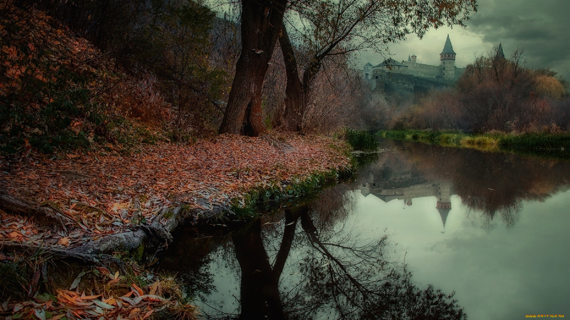 природа, реки, озера, река, осень