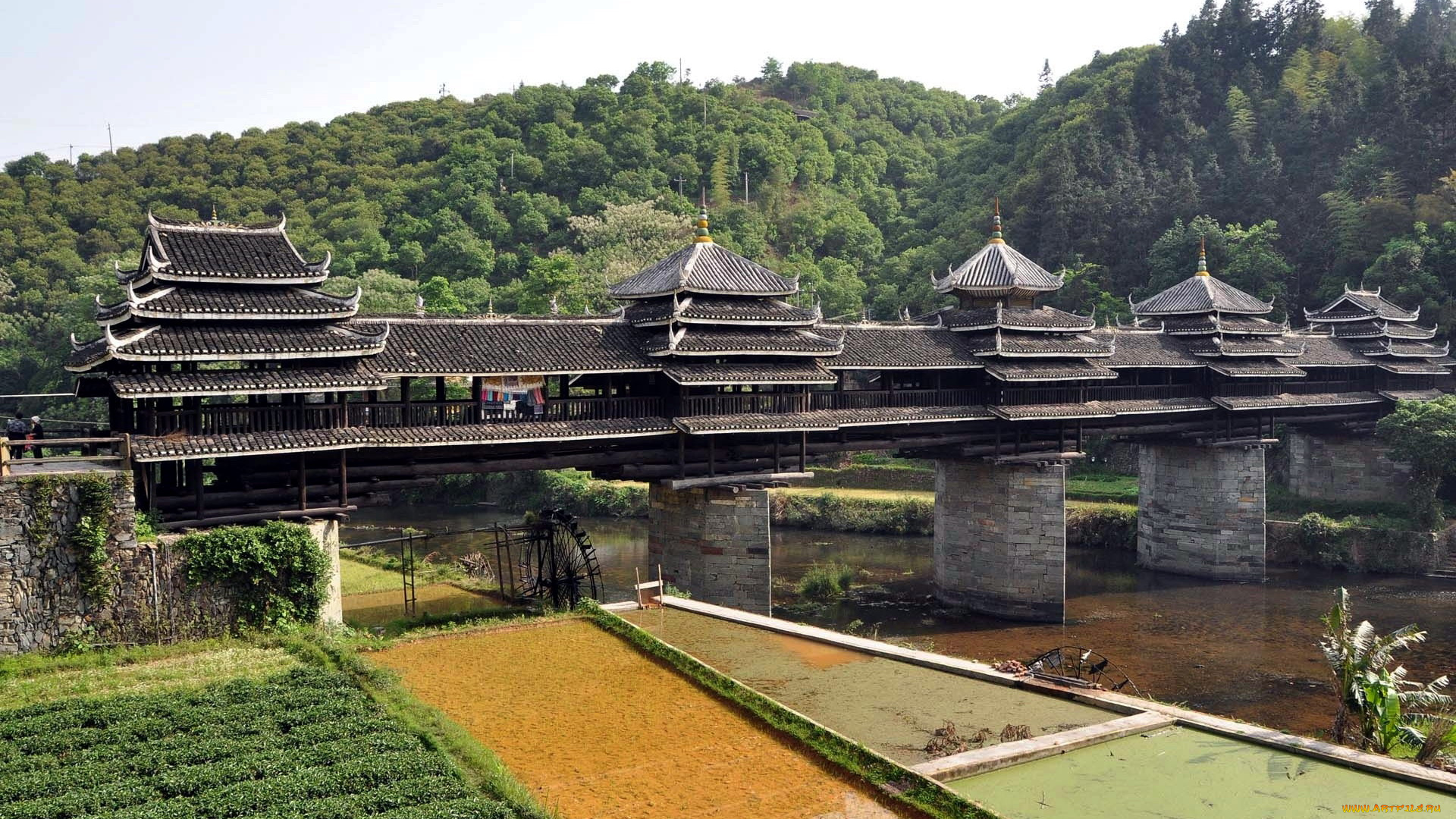 города, -, мосты, лес, мост, река