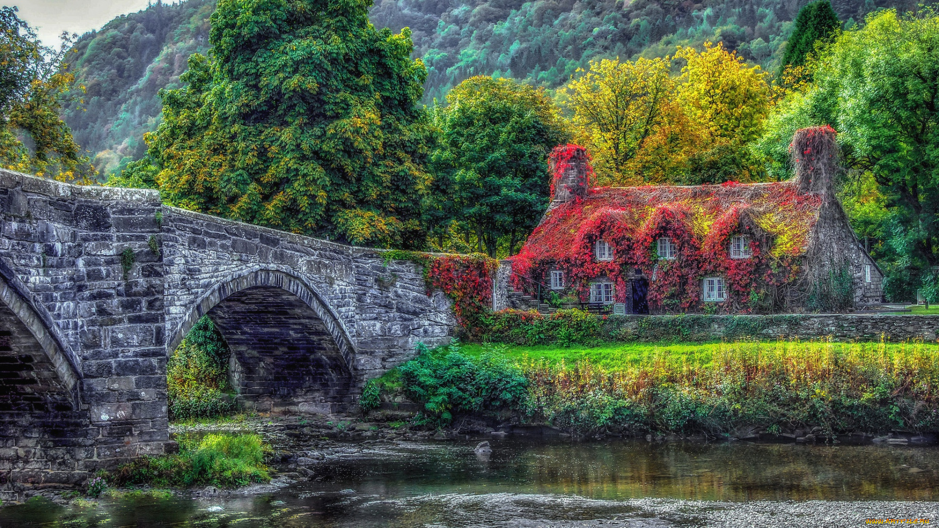 города, -, здания, , дома, река, дом, мост, деревья