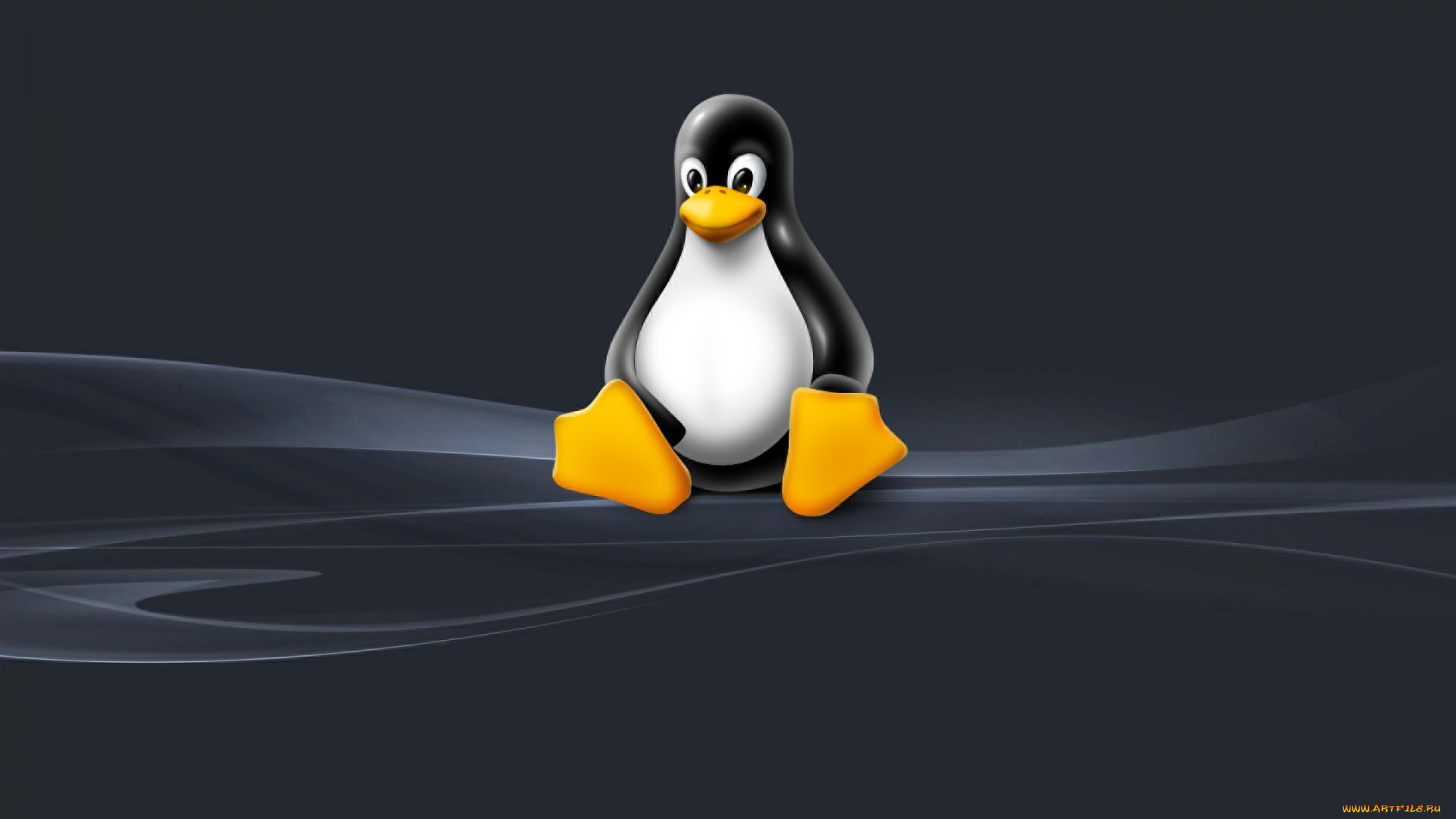 компьютеры, linux, логотип, фон