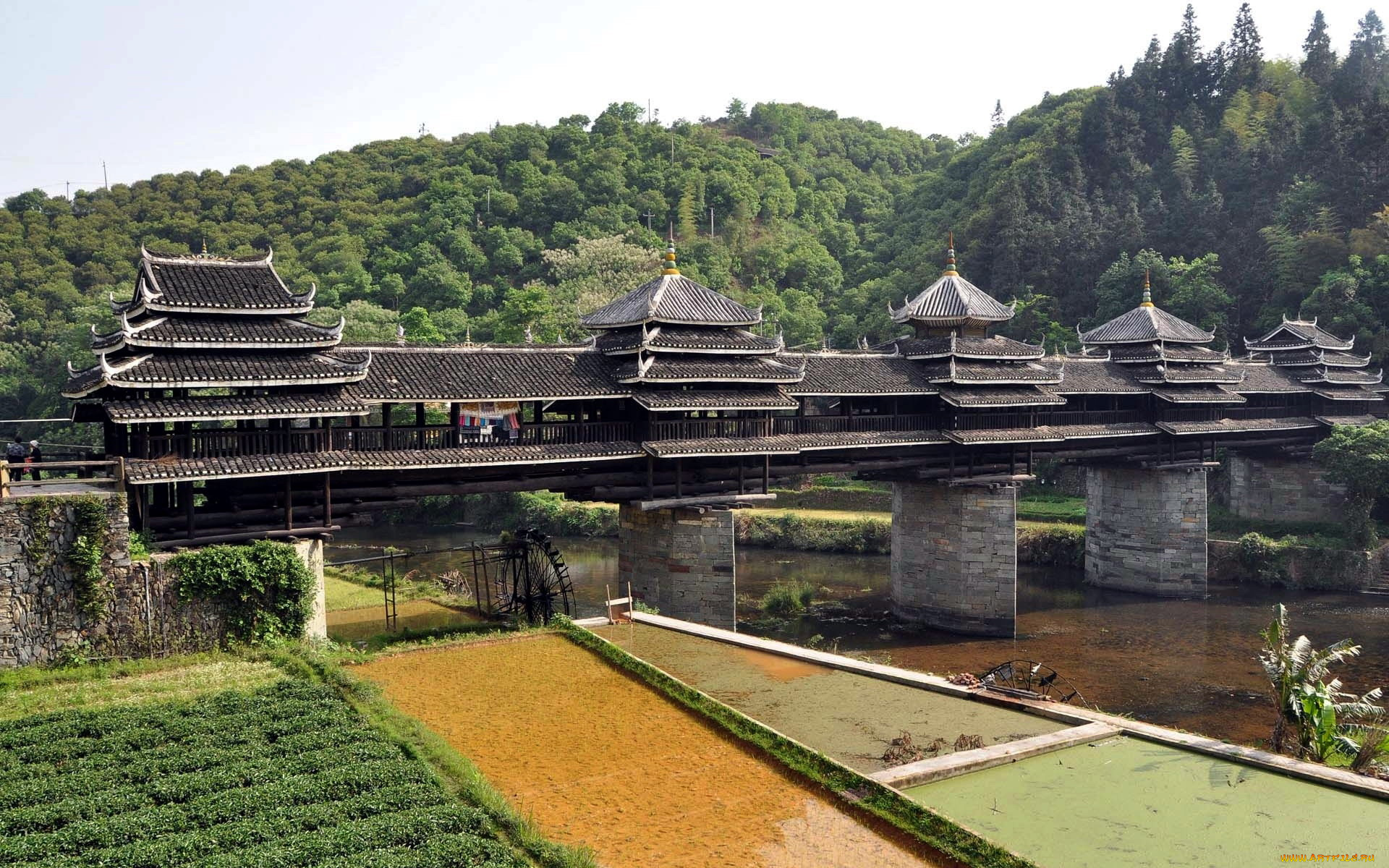 города, -, мосты, лес, мост, река