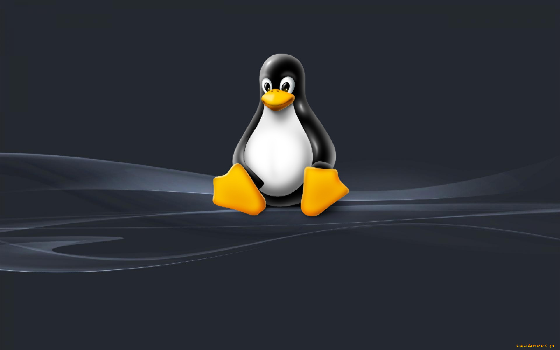 компьютеры, linux, логотип, фон