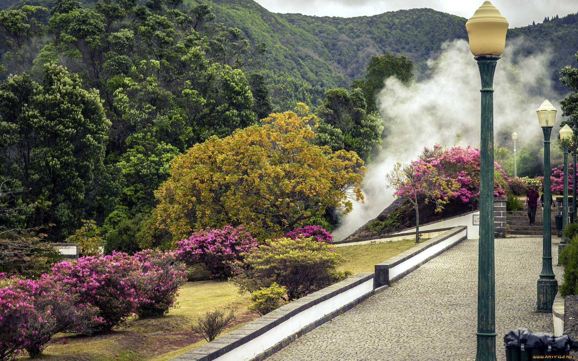 природа, парк, деревья, кусты, фонари