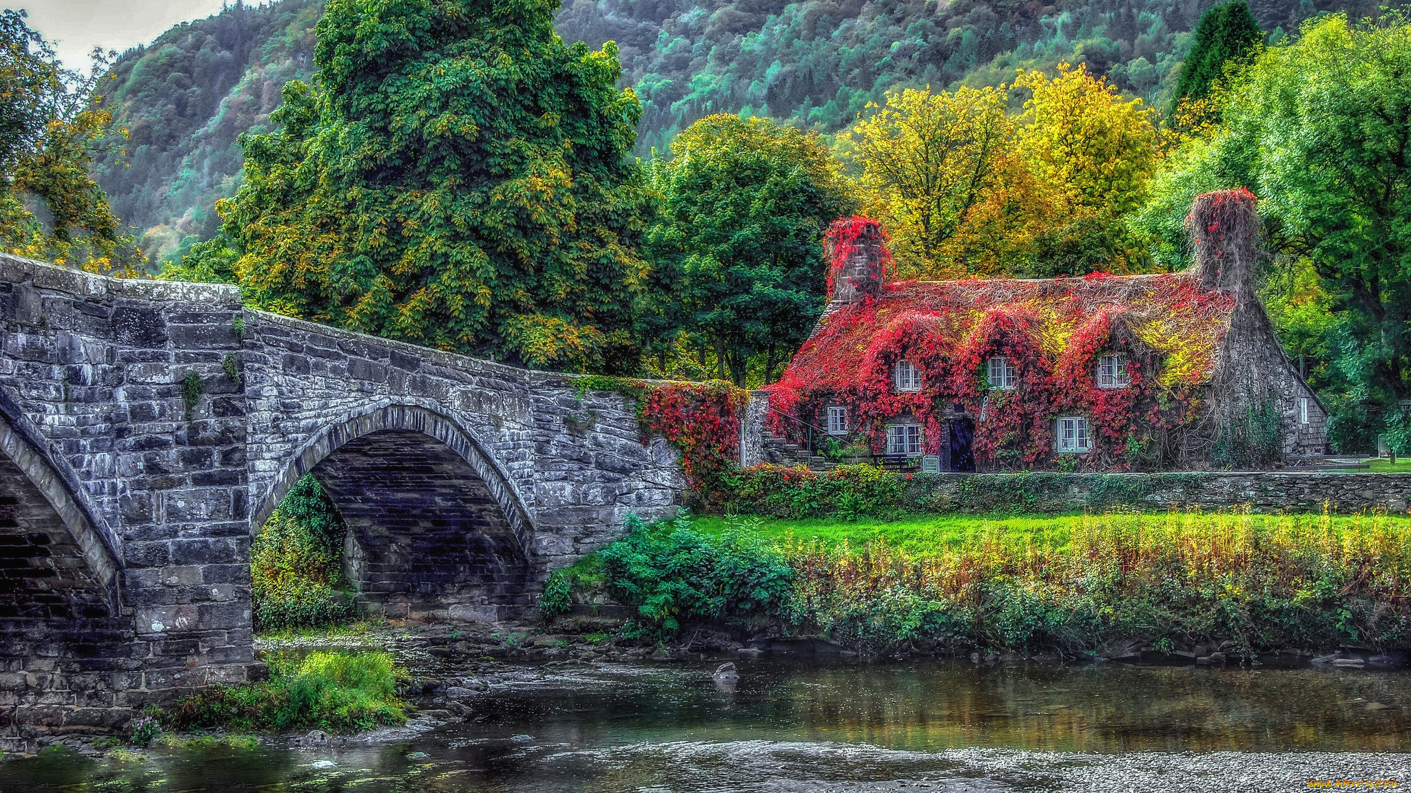 города, -, здания, , дома, река, дом, мост, деревья