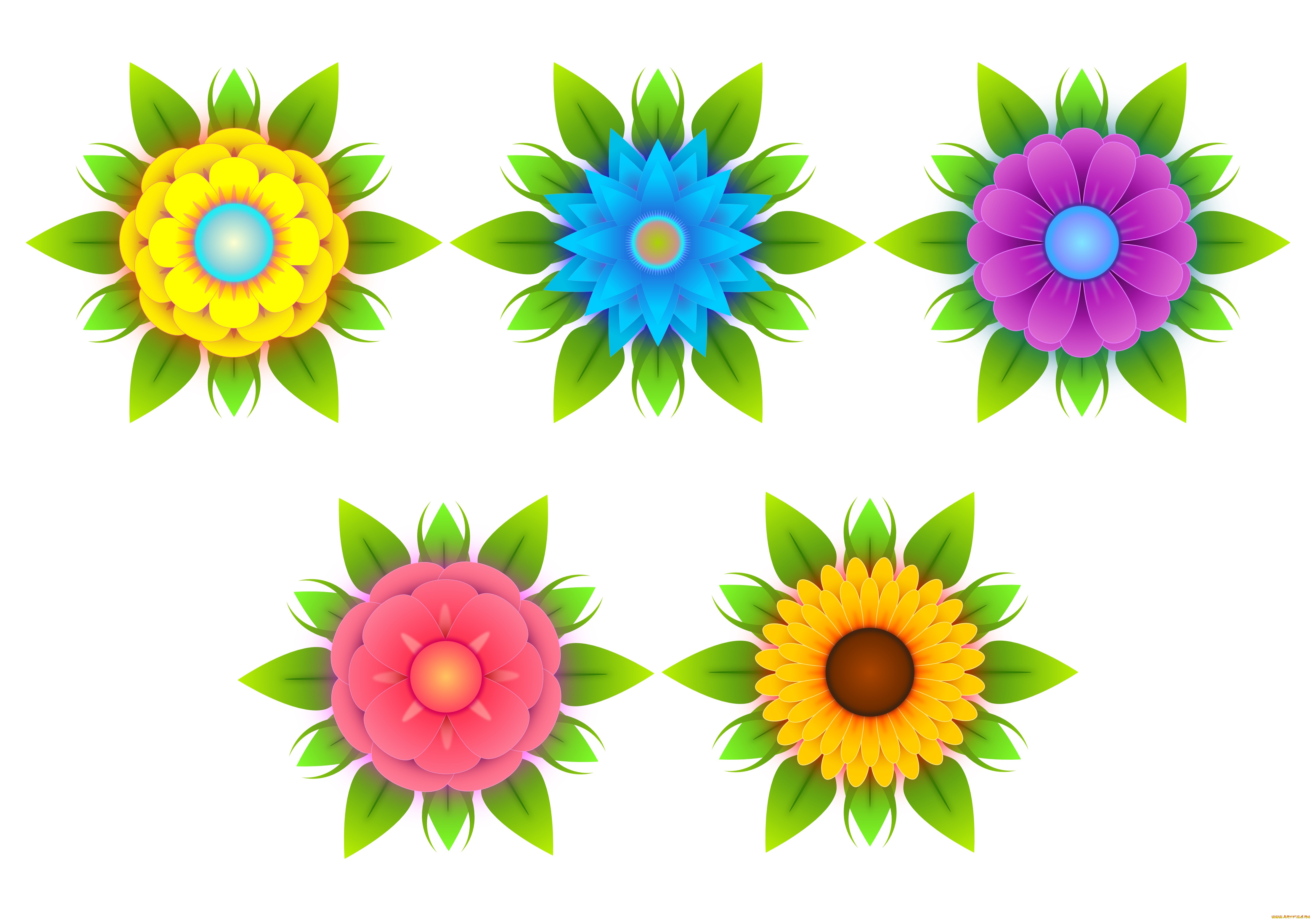 векторная, графика, цветы, , flowers, лепестки, цветы, фон