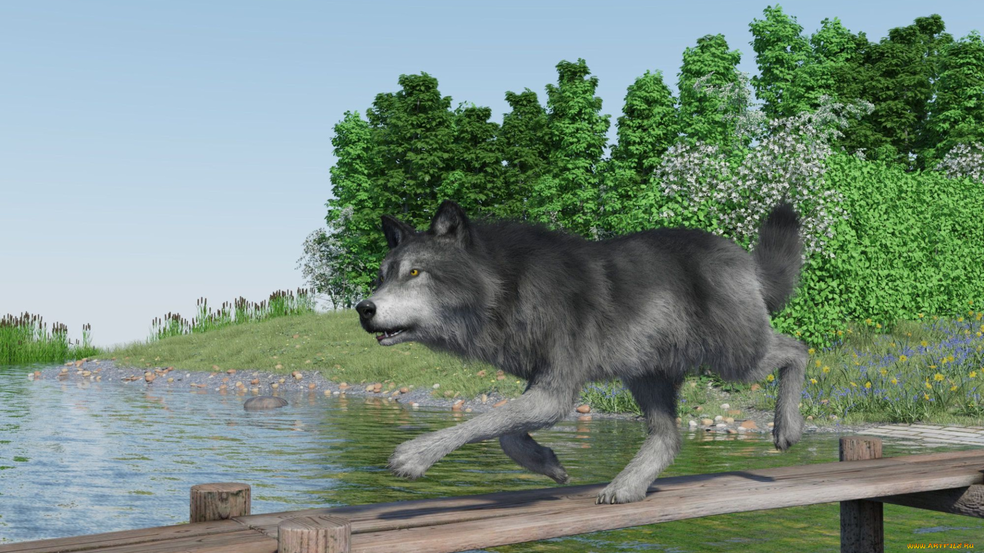 3д, графика, животные, , animals, волк, фон, мост, река