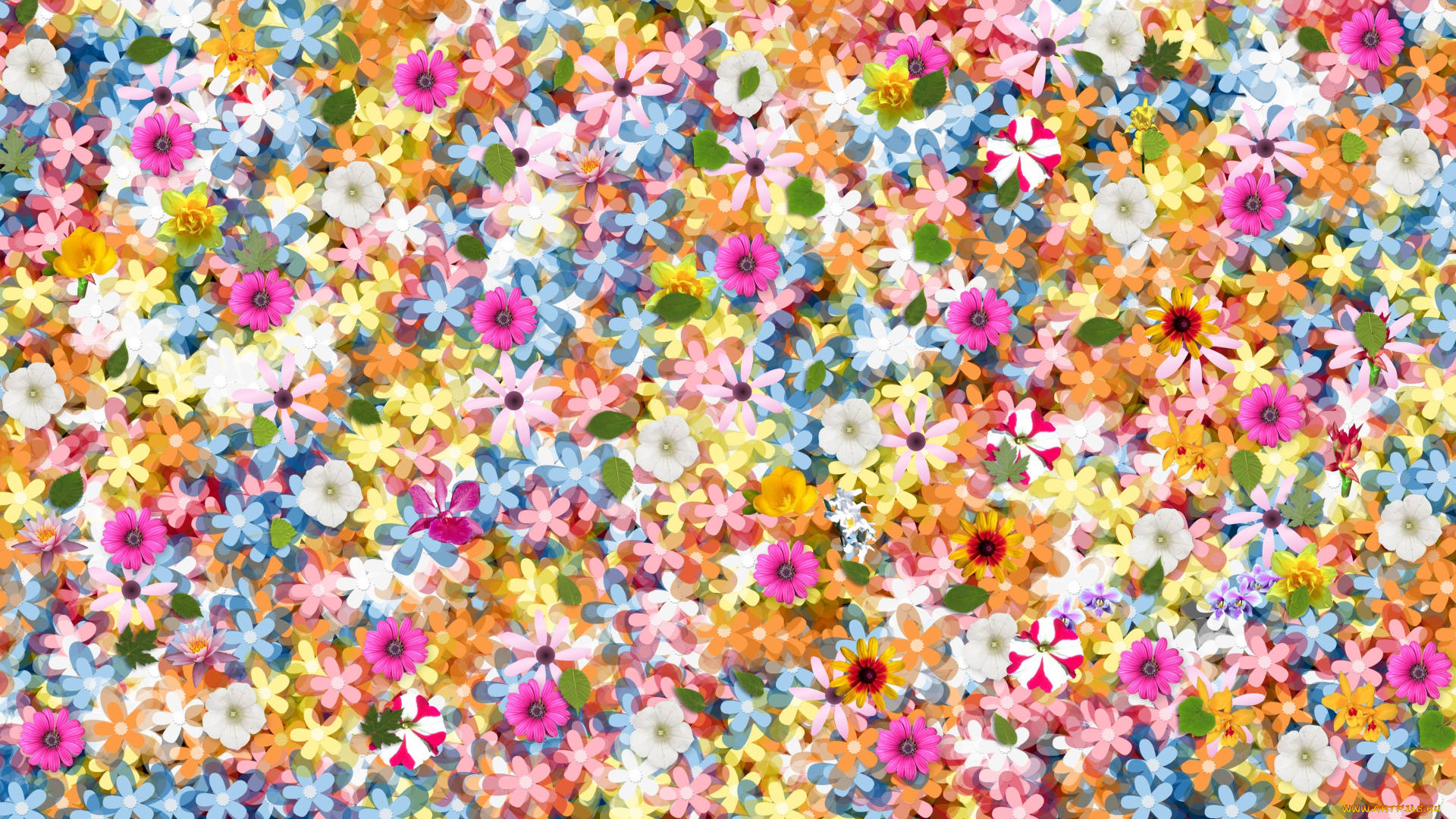 разное, компьютерный, дизайн, фон, лепестки, цветы