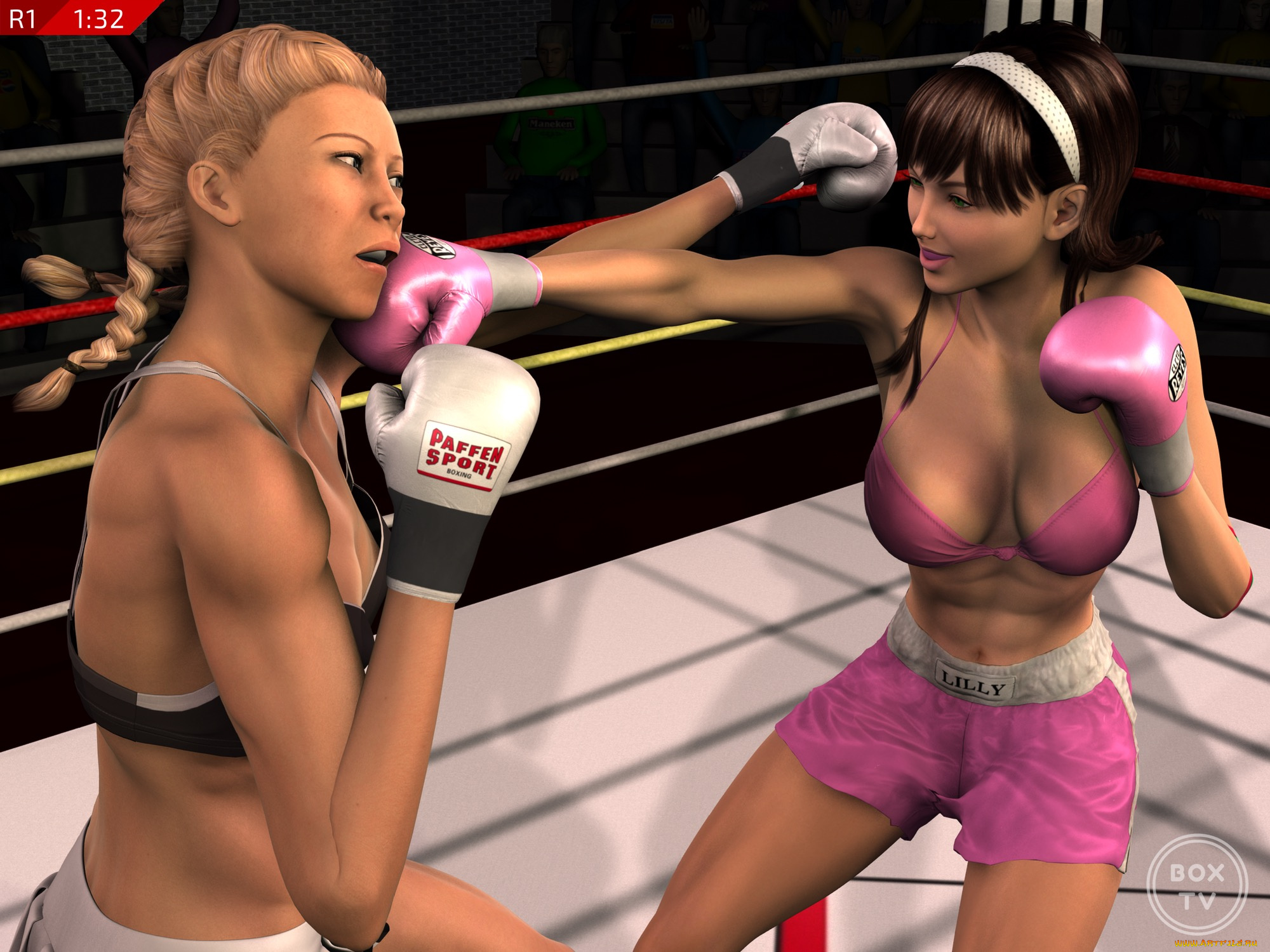 3д, графика, спорт, , sport, бокс, ринг, фон, взгляд, девушки