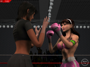 обоя 3д графика, спорт , sport, бокс, ринг, фон, взгляд, девушки