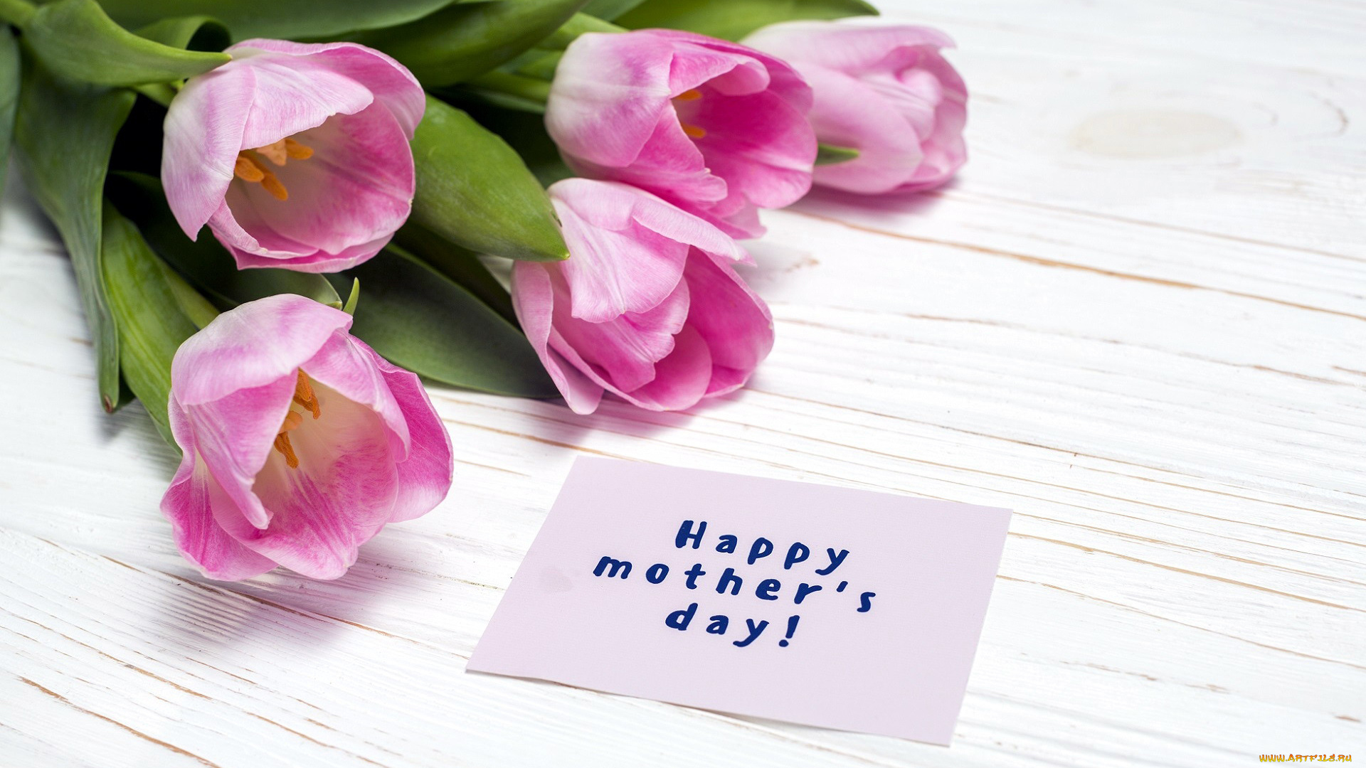 праздничные, день, матери, надпись, тюльпаны