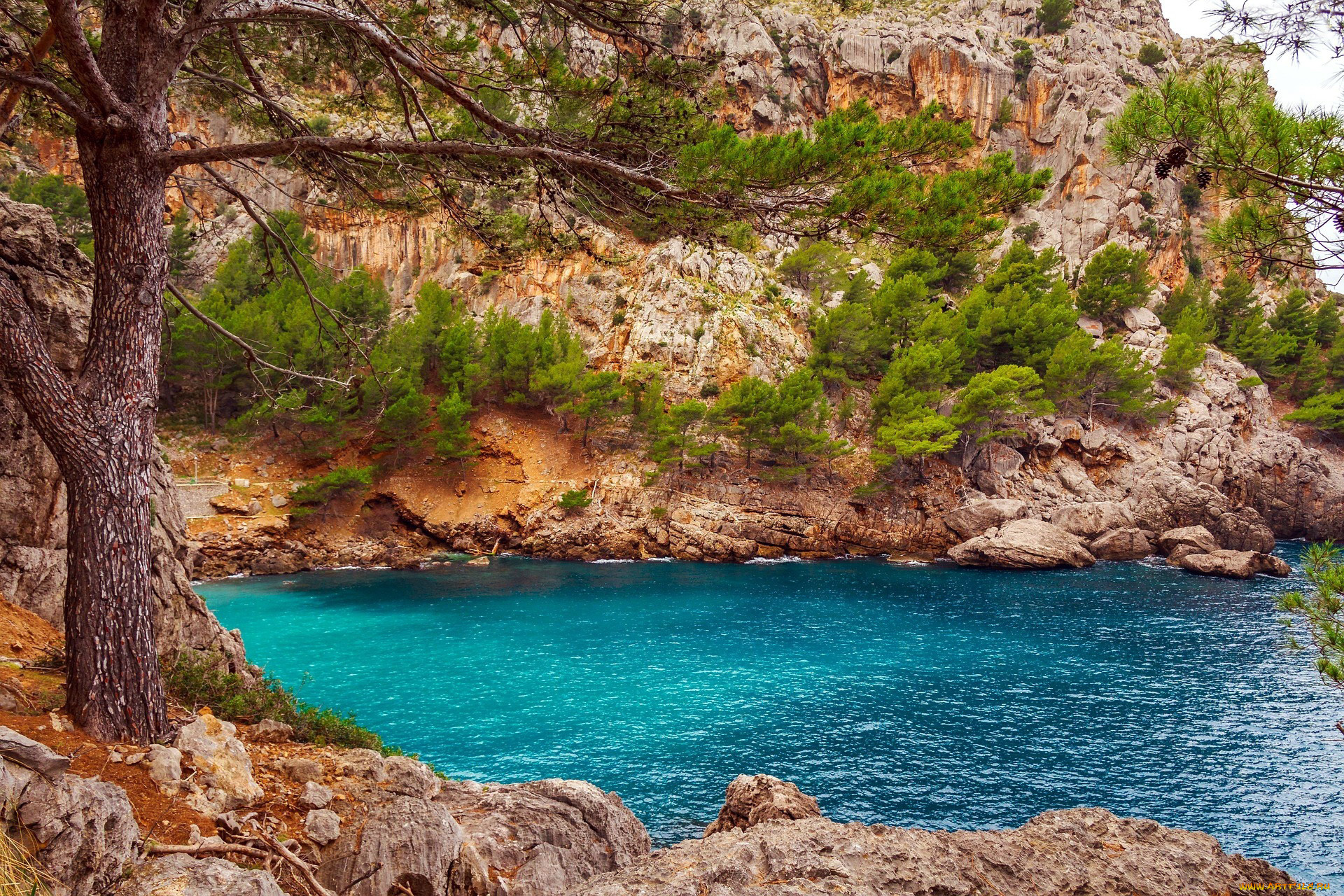 majorka, spain, природа, побережье