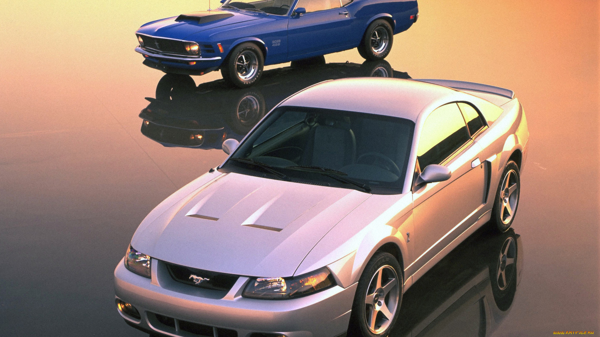 автомобили, mustang