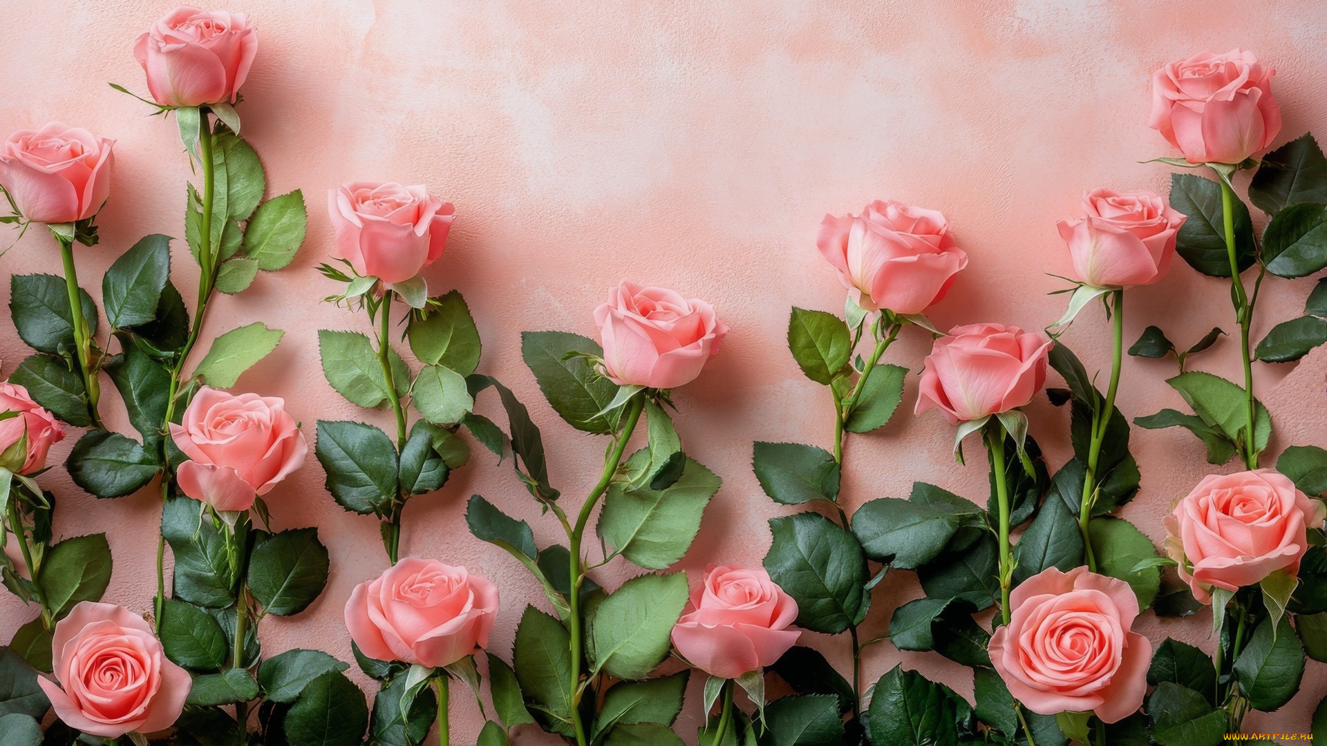 3д, графика, цветы, , flowers, розы