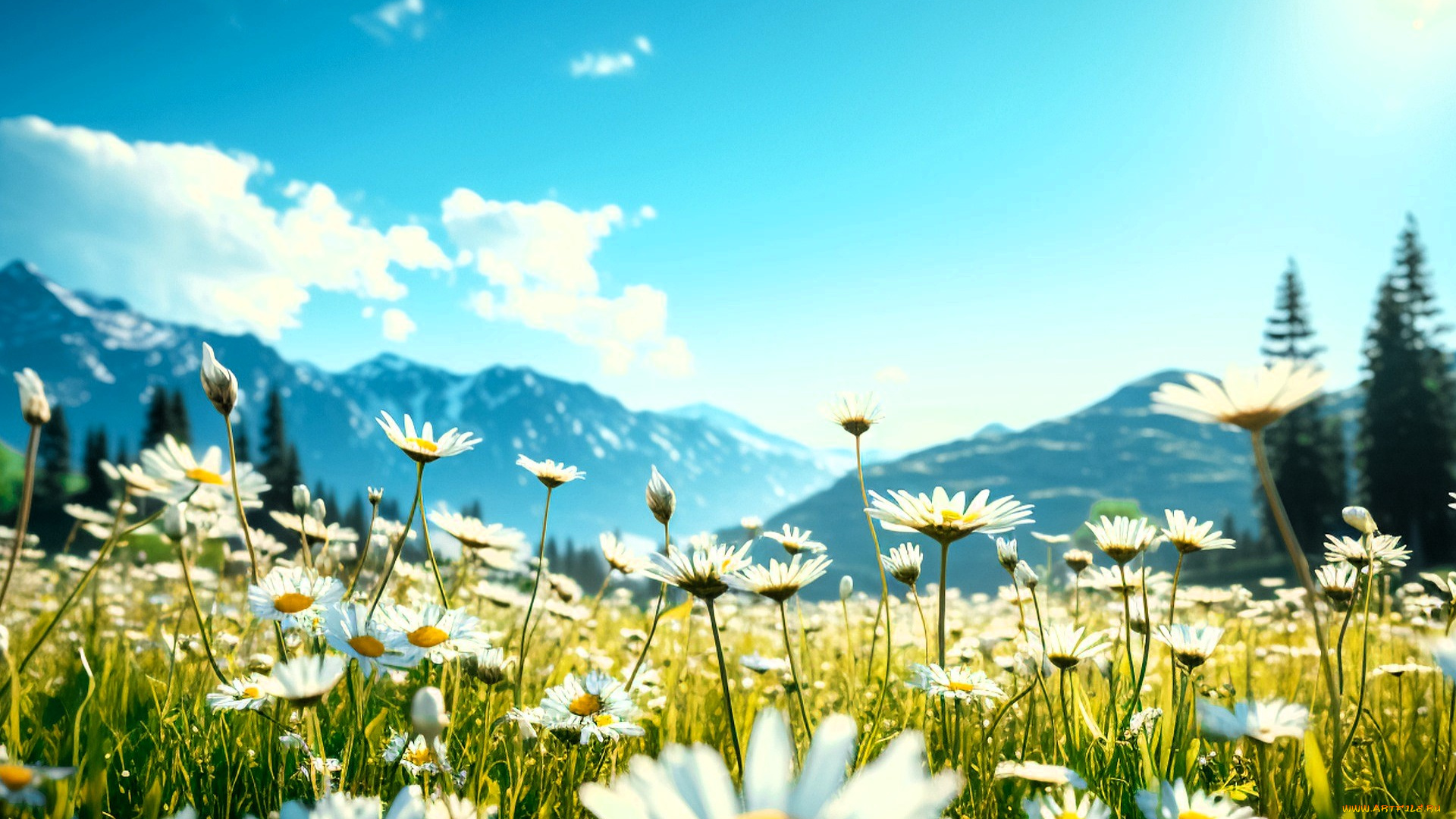 3д, графика, природа, , nature, поляна, цветы, ромашки, горы, трава