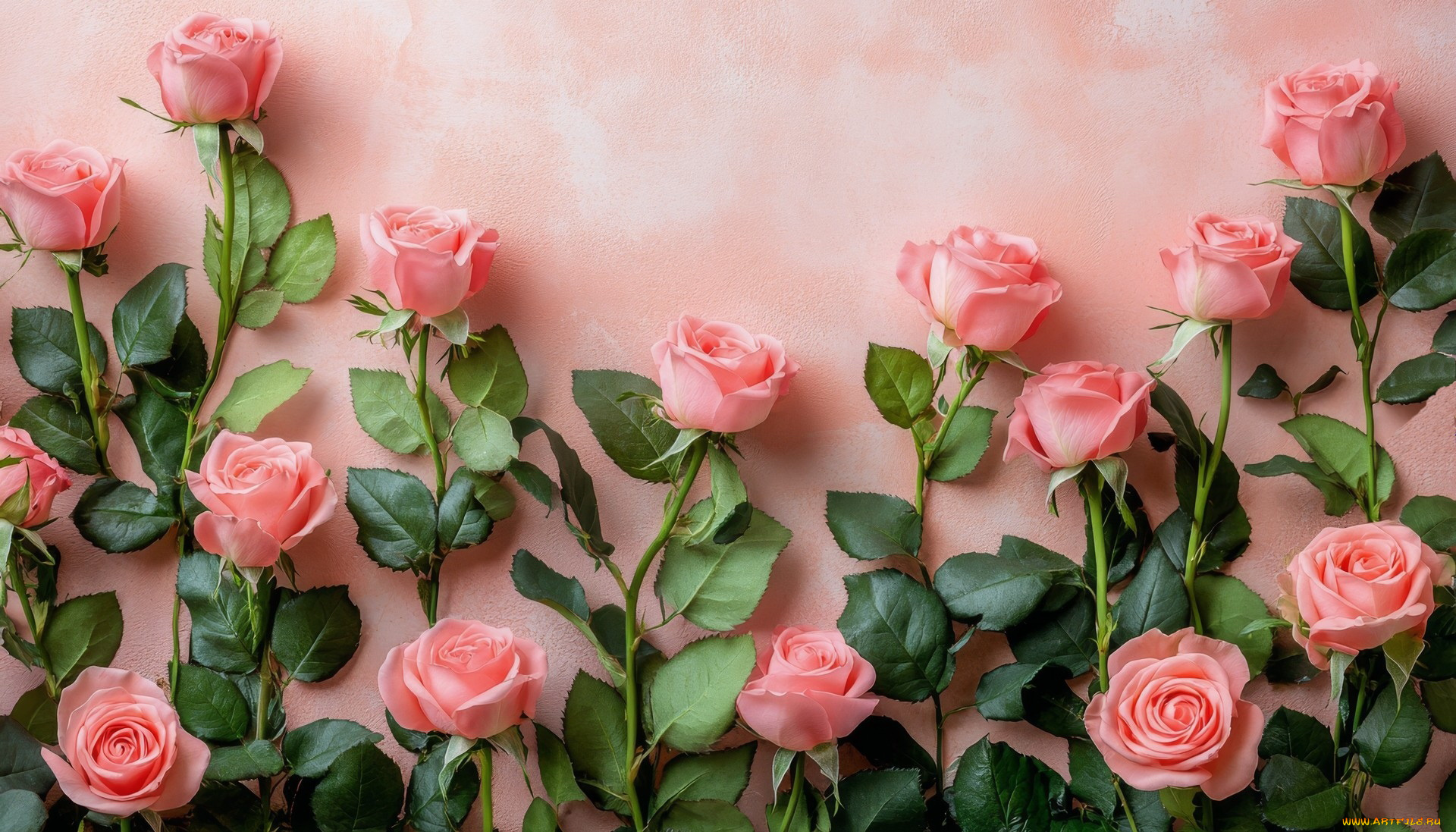 3д, графика, цветы, , flowers, розы