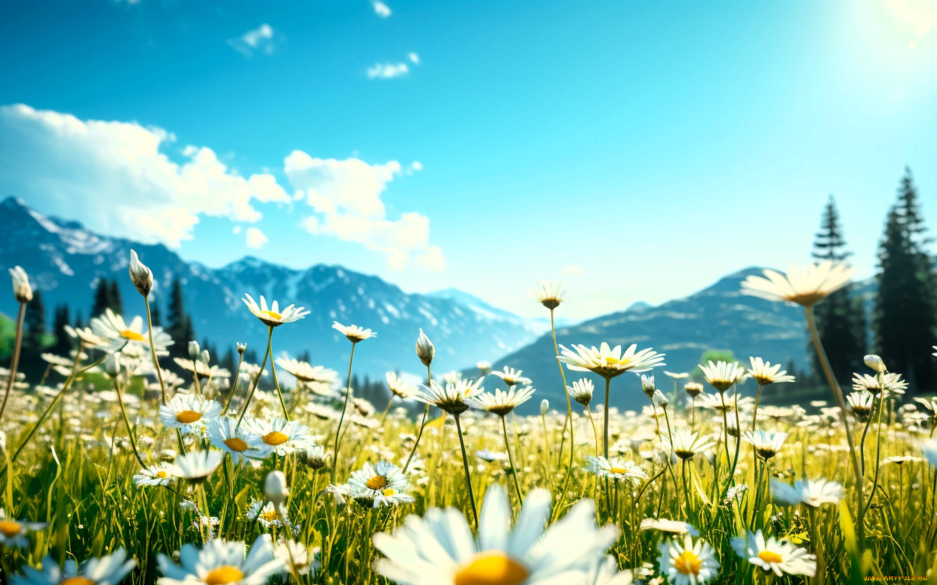 3д, графика, природа, , nature, поляна, цветы, ромашки, горы, трава