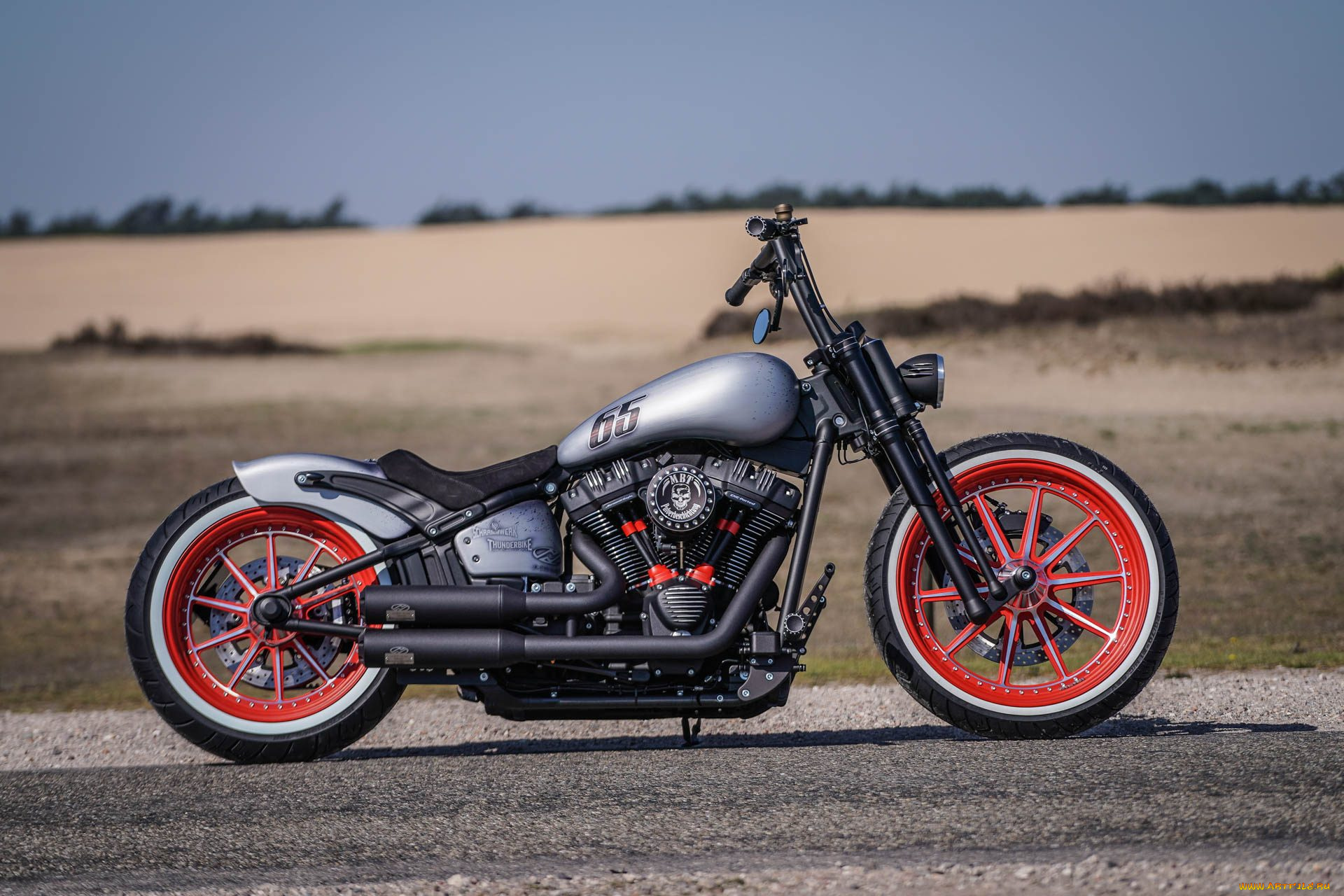 харлей, мотоциклы, harley-davidson, мотоцикл, байк, серый, thunderbike, customs
