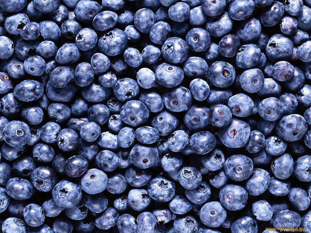 еда, голубика, черника