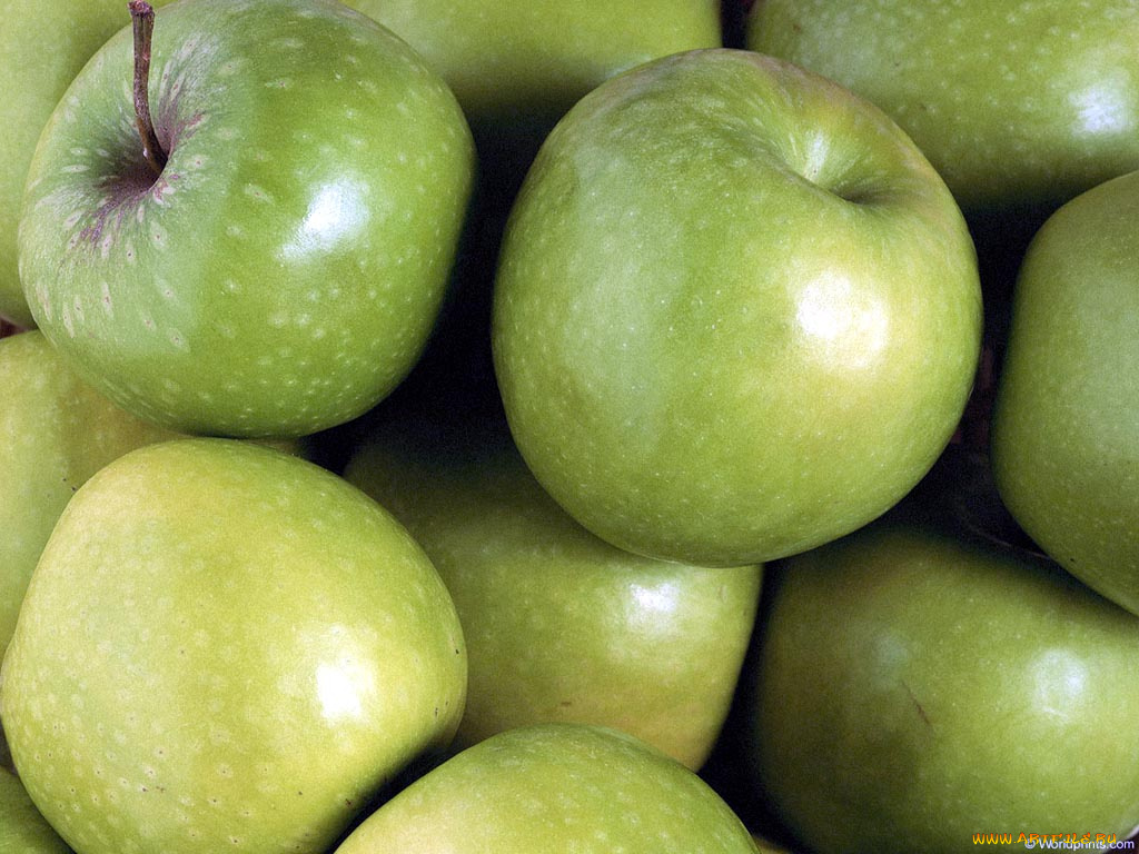 еда, Яблоки