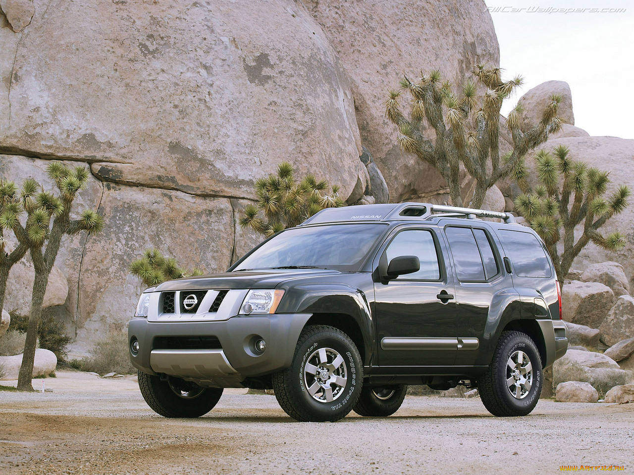 автомобили, nissan, datsun