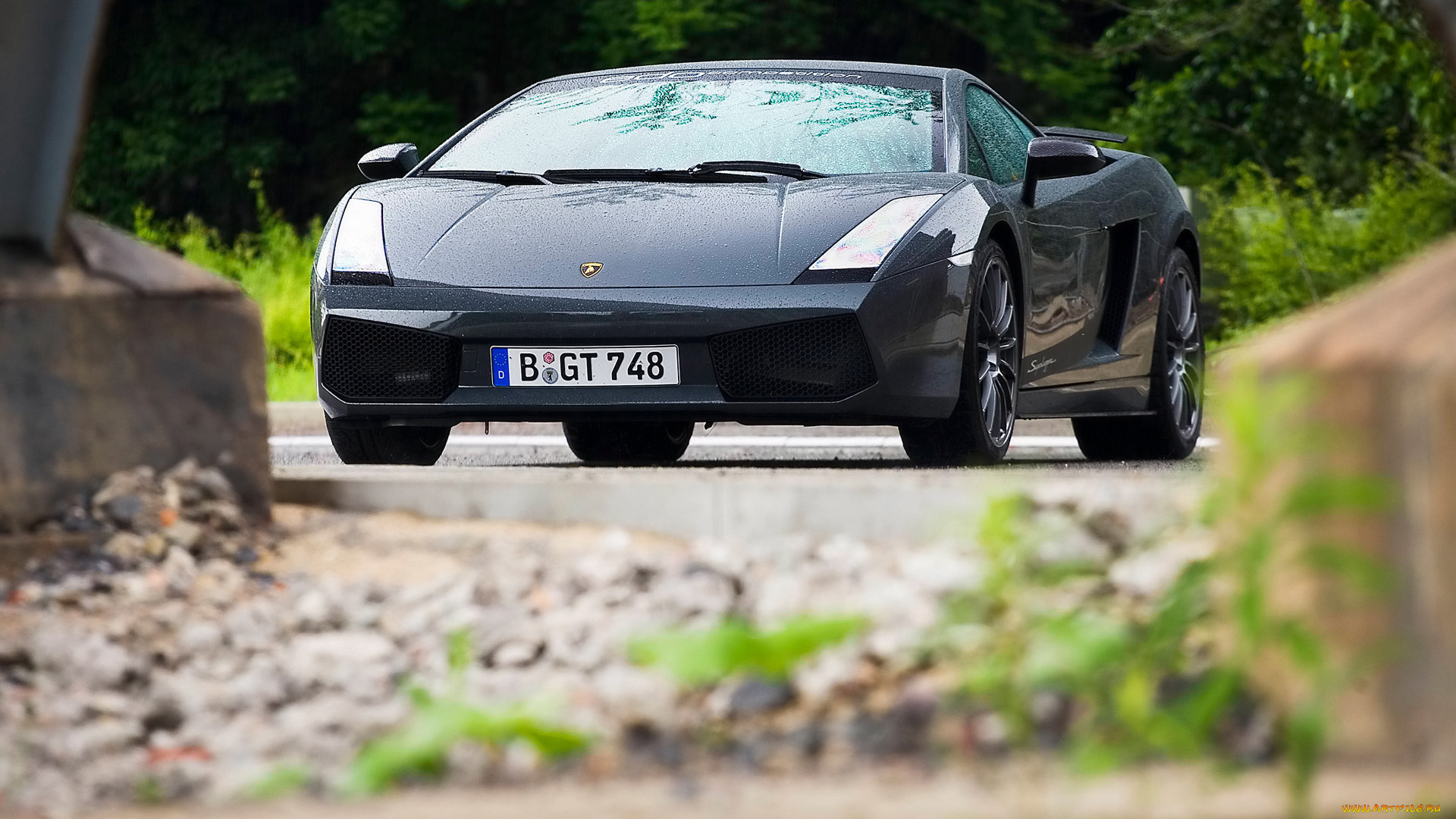 2008, edo, competition, lamborghini, gallardo, sle, автомобили