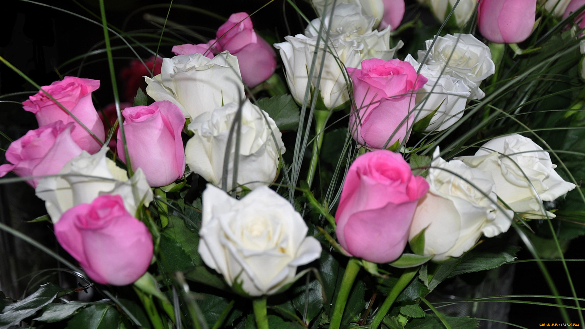 цветы, розы