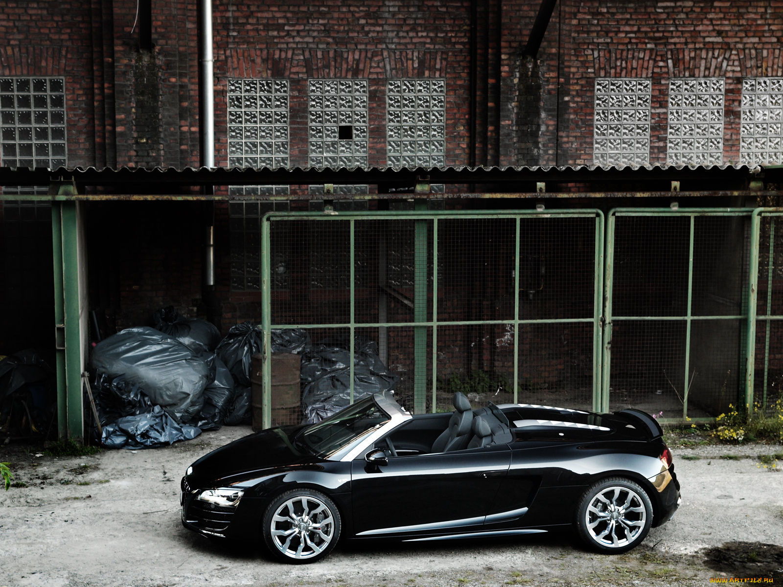 автомобили, audi, cat