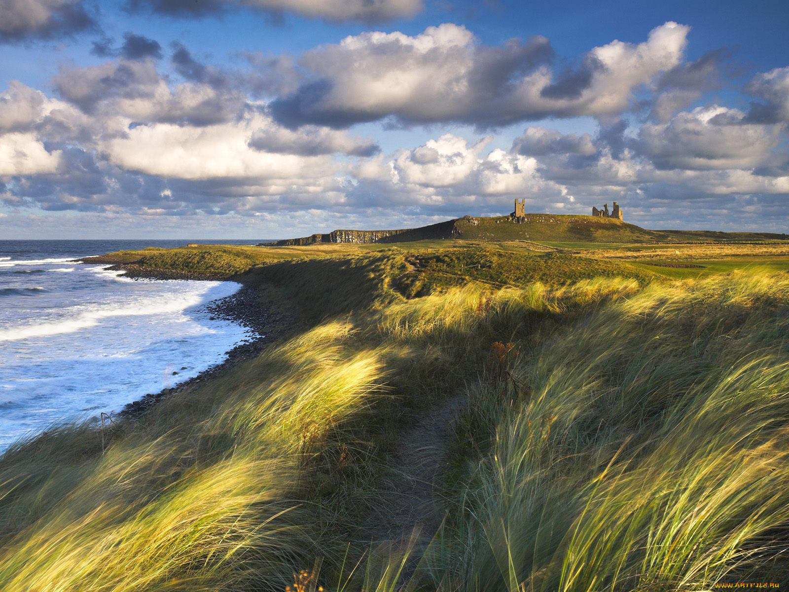 природа, побережье, трава