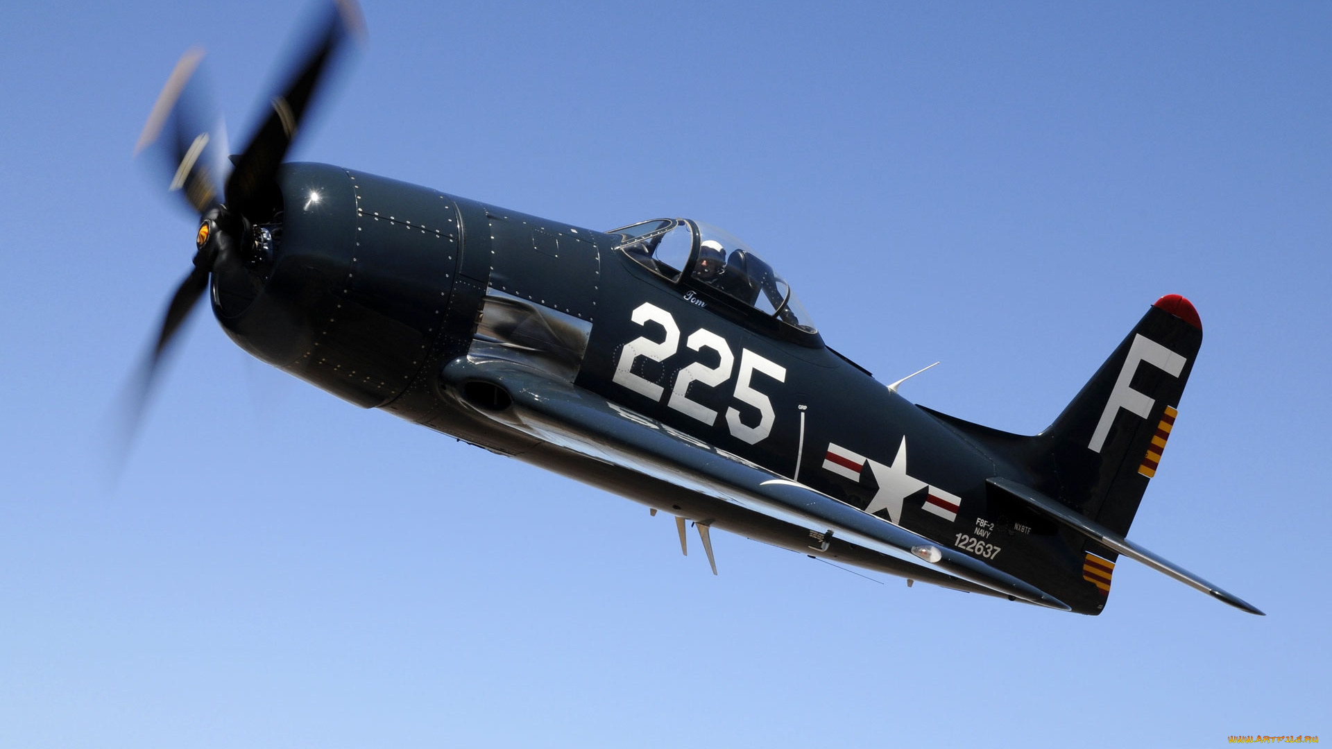 f8f, bearcat, авиация, лёгкие, одномоторные, самолёты, сша, исторический, ввс, исребитель