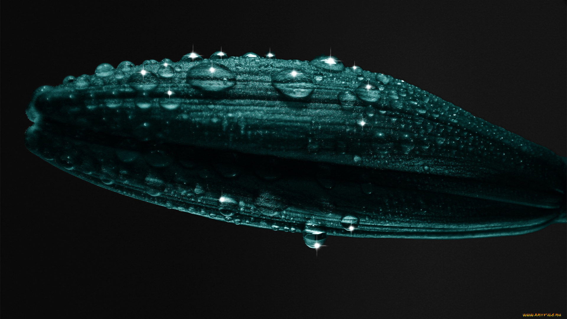 разное, капли, брызги, всплески, листочек