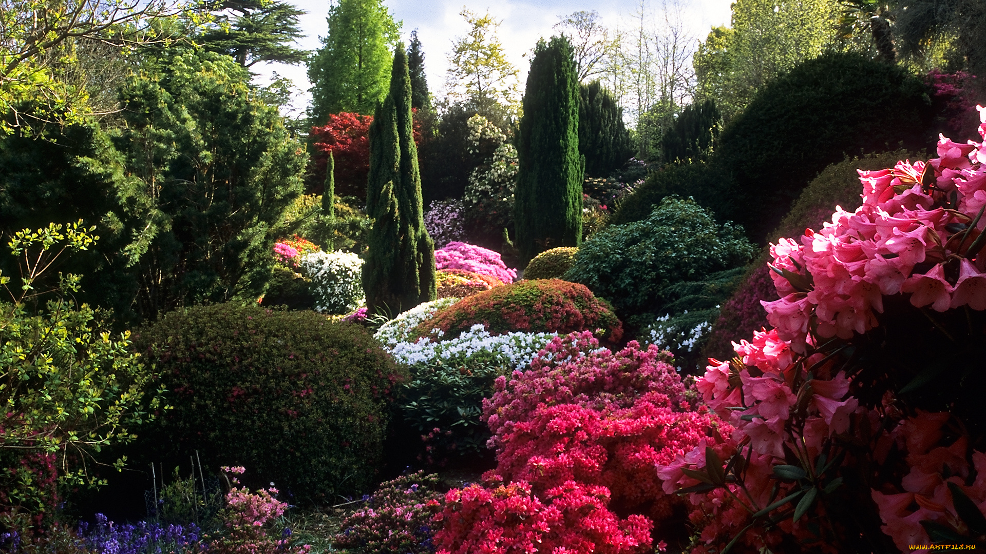 rock, garden, природа, парк, деревья, кусты, цветы, камни