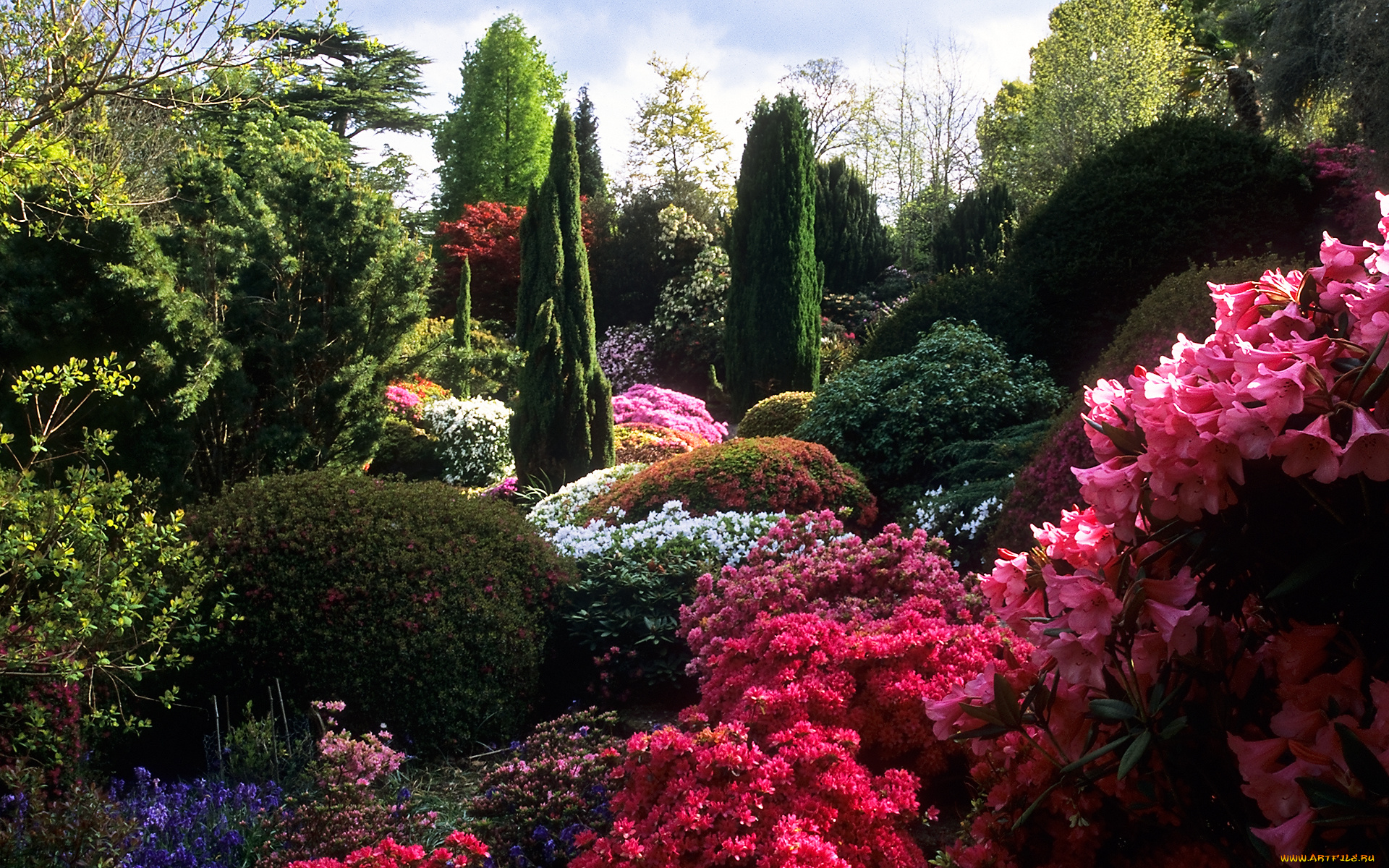 rock, garden, природа, парк, деревья, кусты, цветы, камни