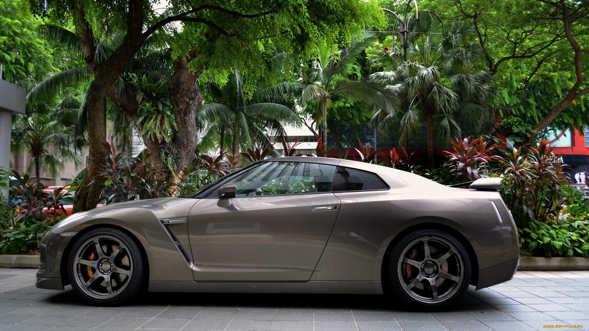 автомобили, nissan, datsun