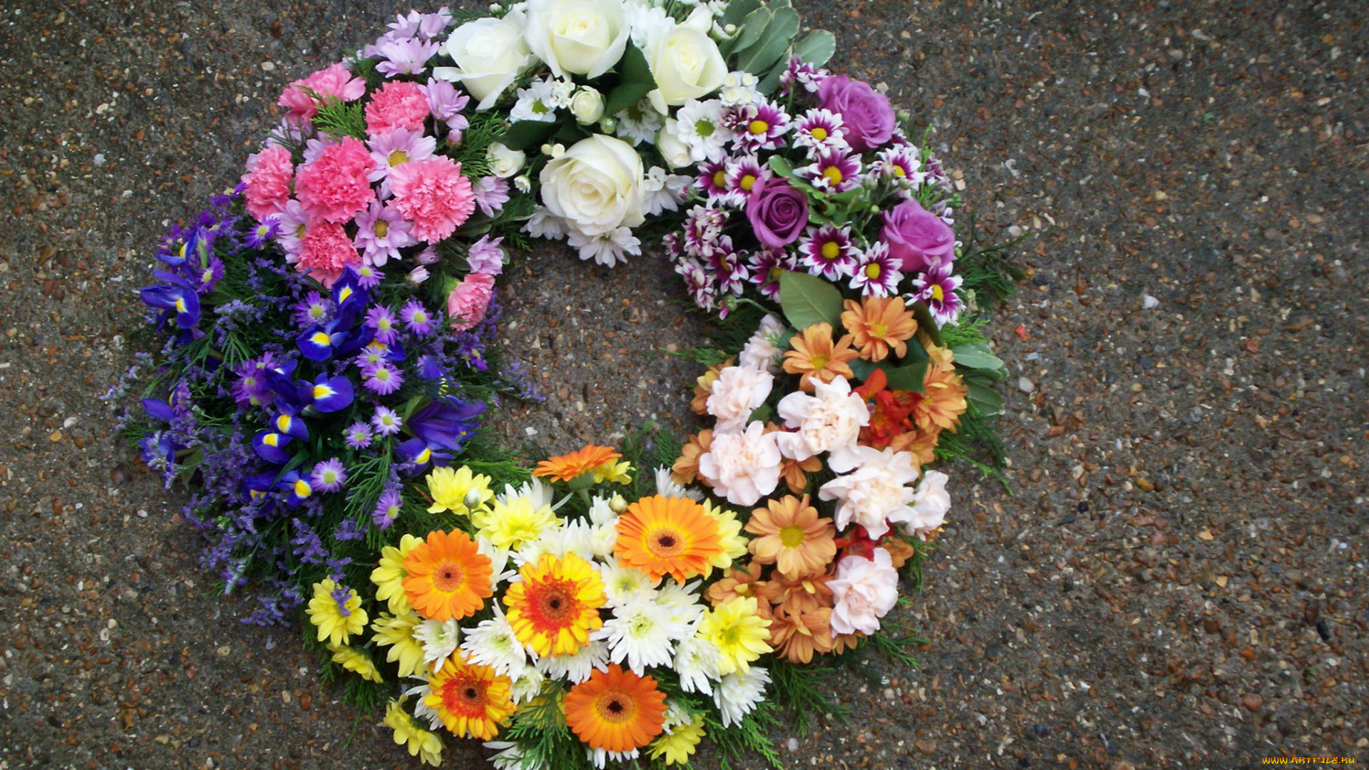 цветы, букеты, композиции, герберы, гвоздики, розы