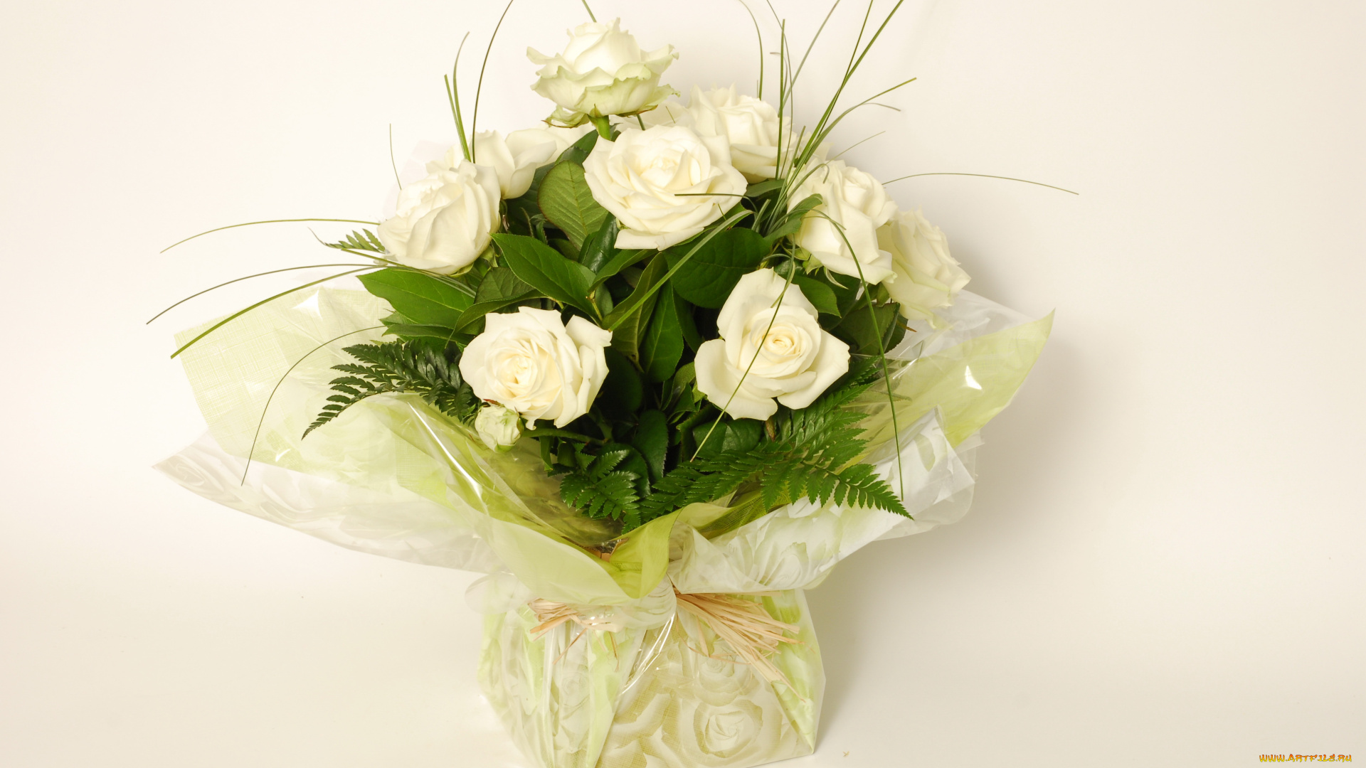 цветы, розы