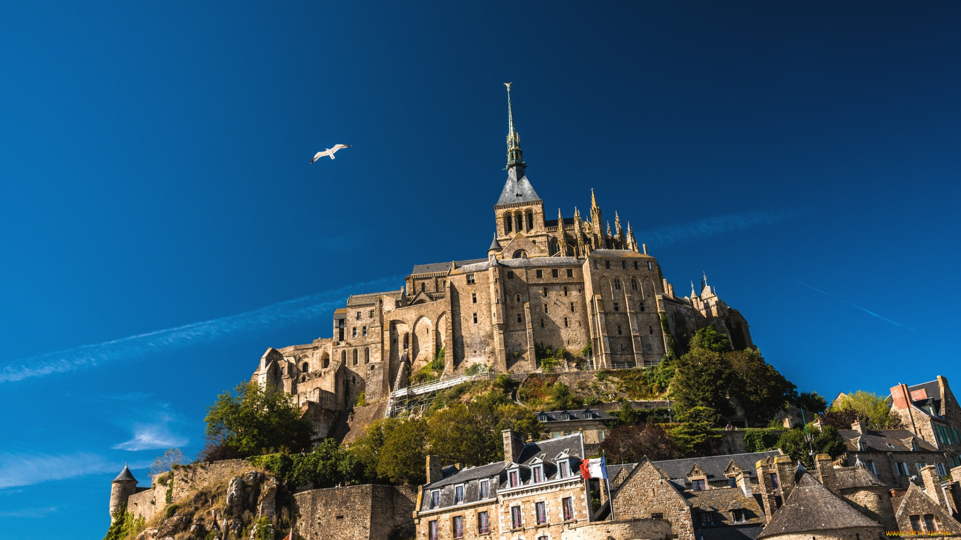 города, крепость, мон, сен, мишель, франция, небо, чайка
