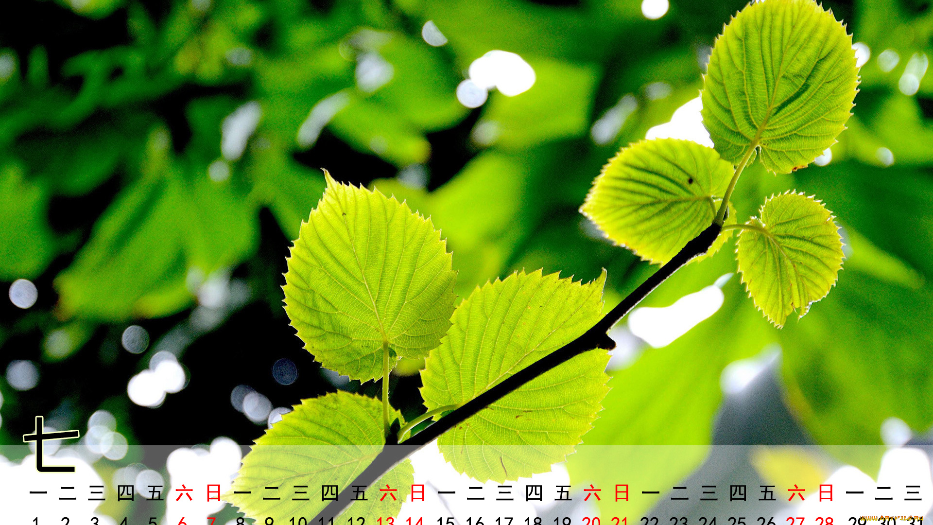 календари, природа, ветка