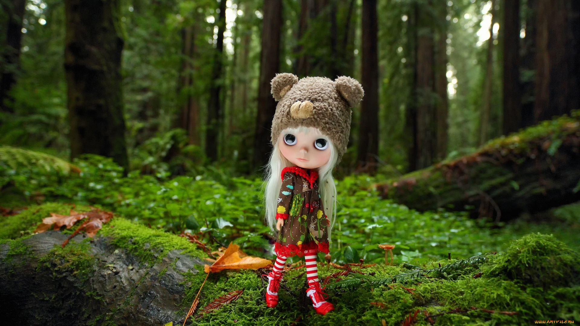 разное, игрушки, кукла, лес