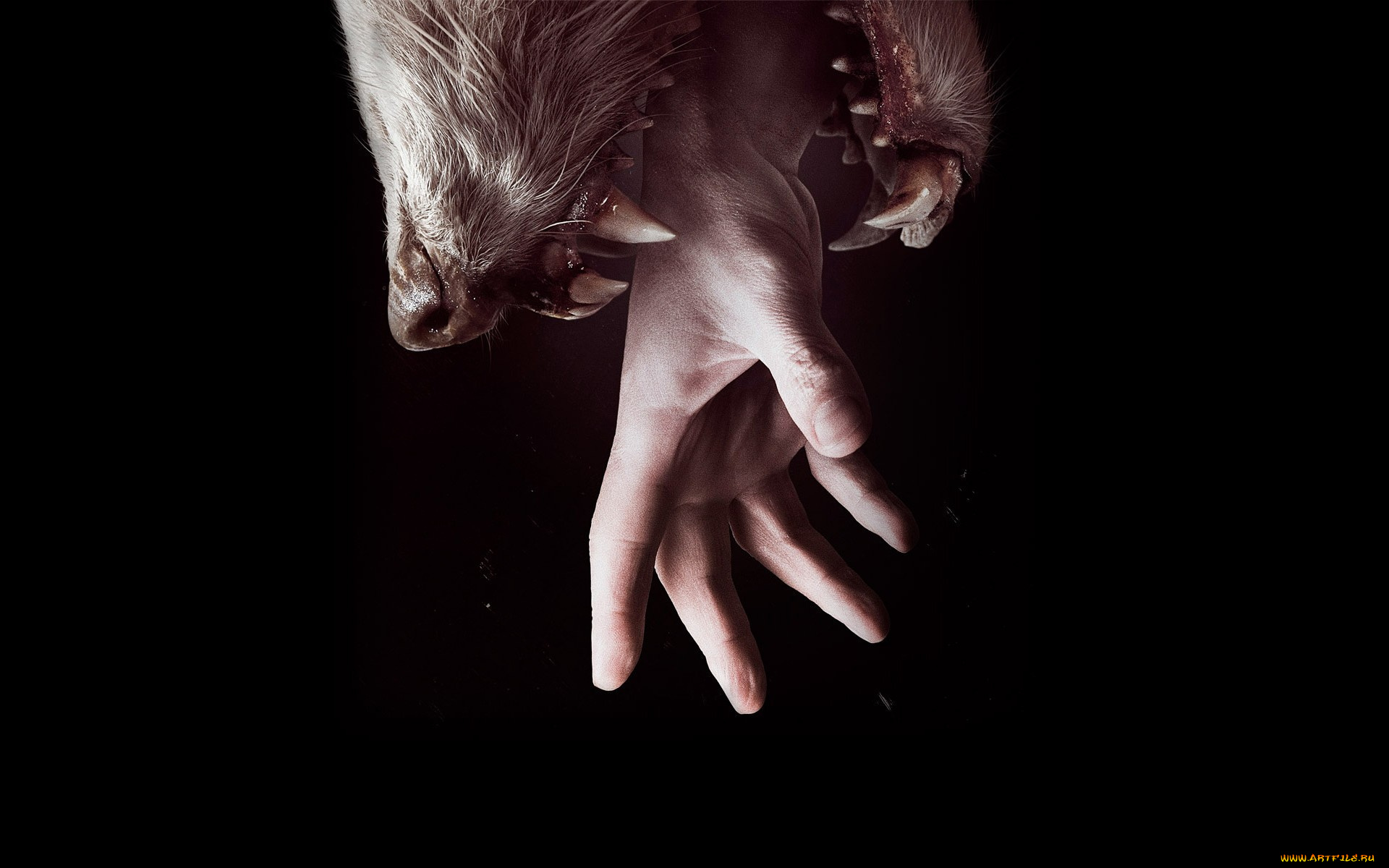 hemlock, grove, кино, фильмы, хемлок, гроув