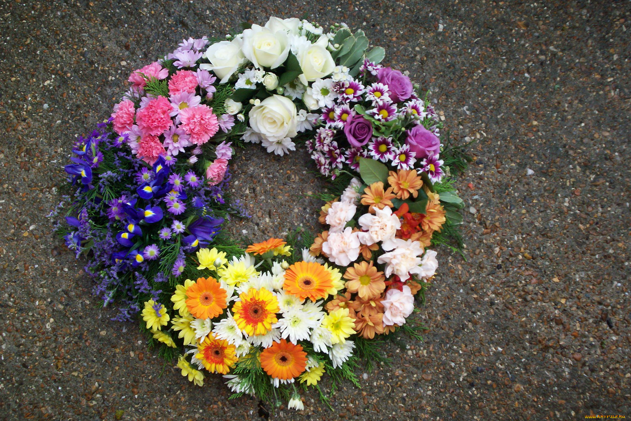 цветы, букеты, композиции, герберы, гвоздики, розы