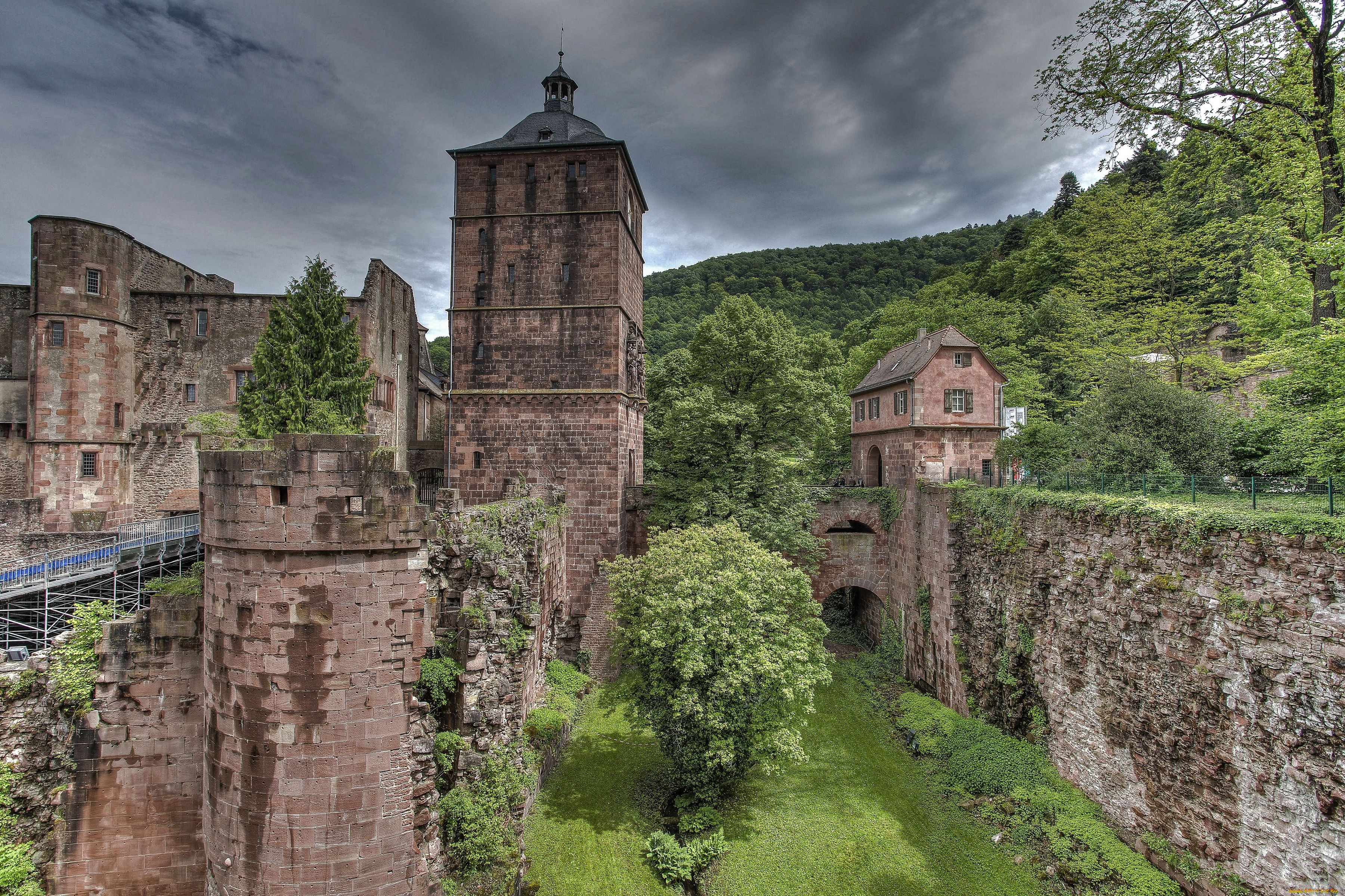 heidelberg, castle, germany, города, гейдельберг, германия, гейдельбергский, замок, деревья