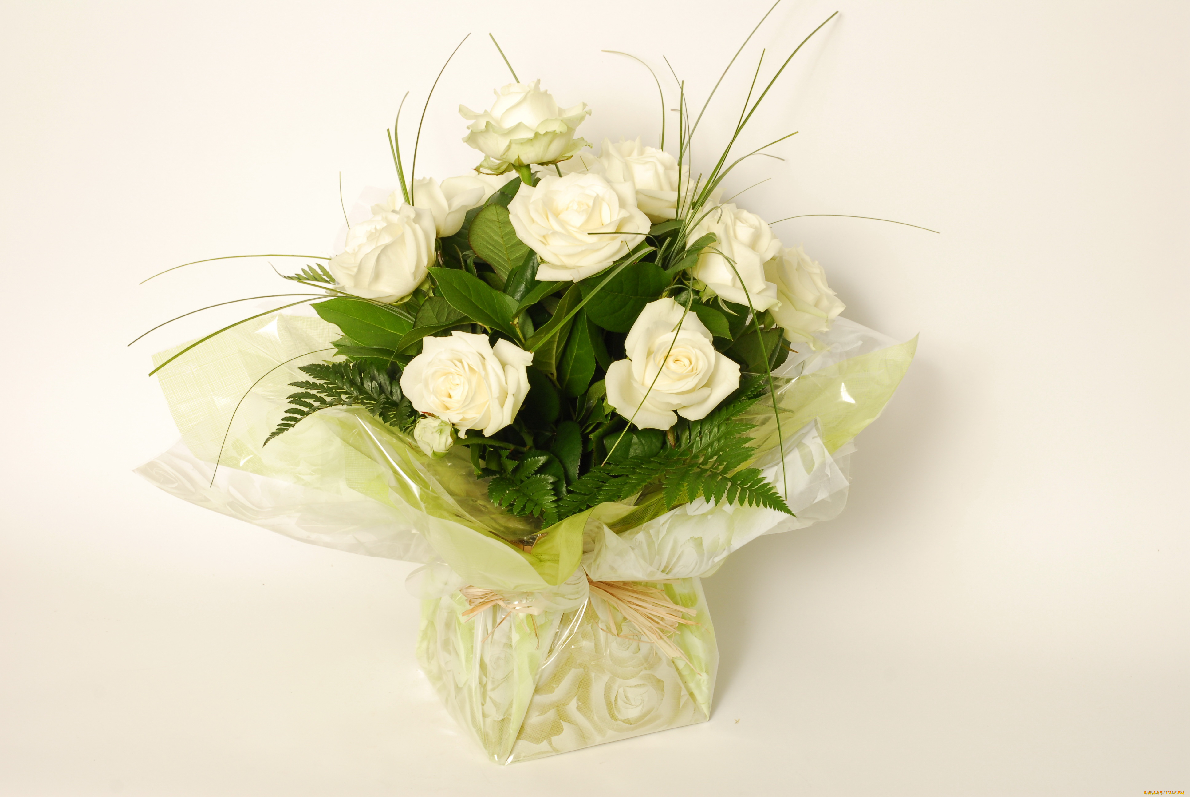 цветы, розы