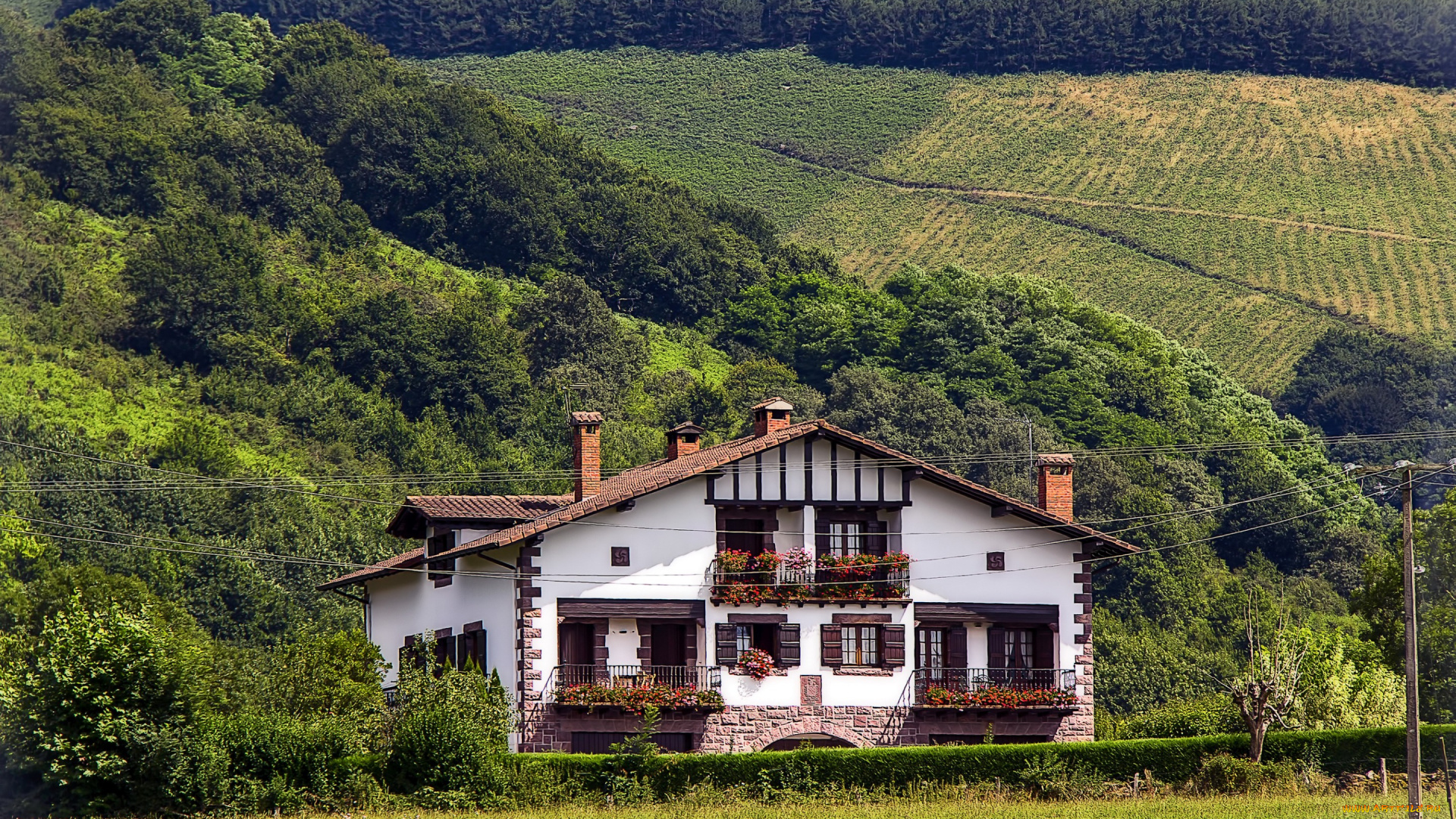 города, -, здания, , дома, склон, поля, деревья, кусты, дом, navarre, baztan, испания