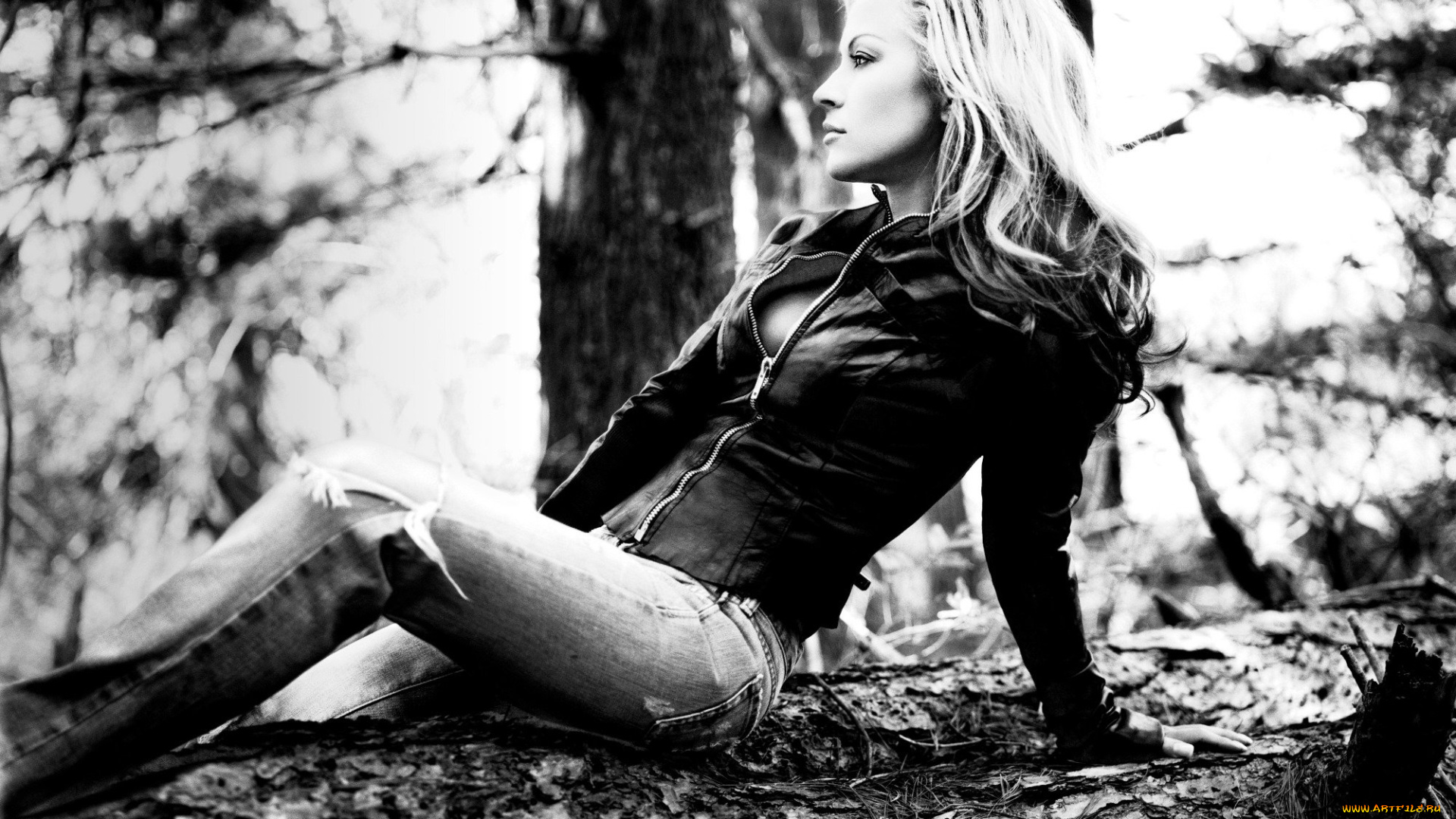 музыка, anastacia, куртка, профиль, бревно, черно-белая, певица, анастейша, джинсы, деревья