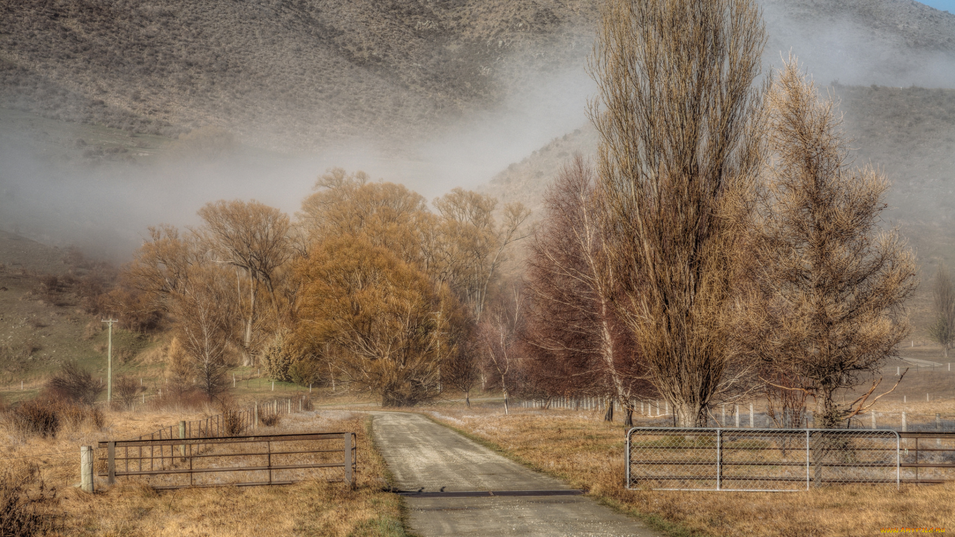 природа, дороги, тракт, лес