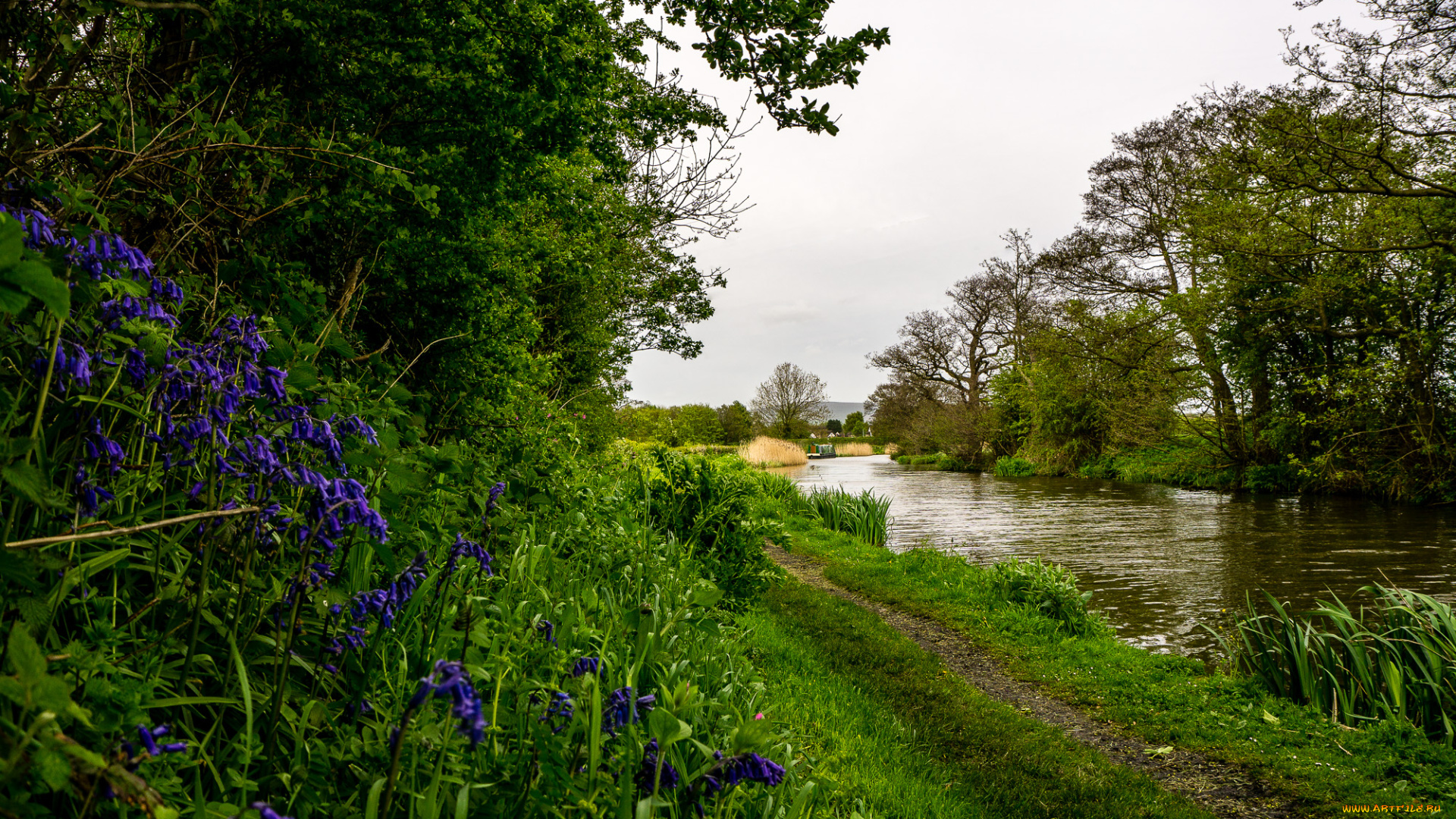 природа, дороги, тропинка, река, лес
