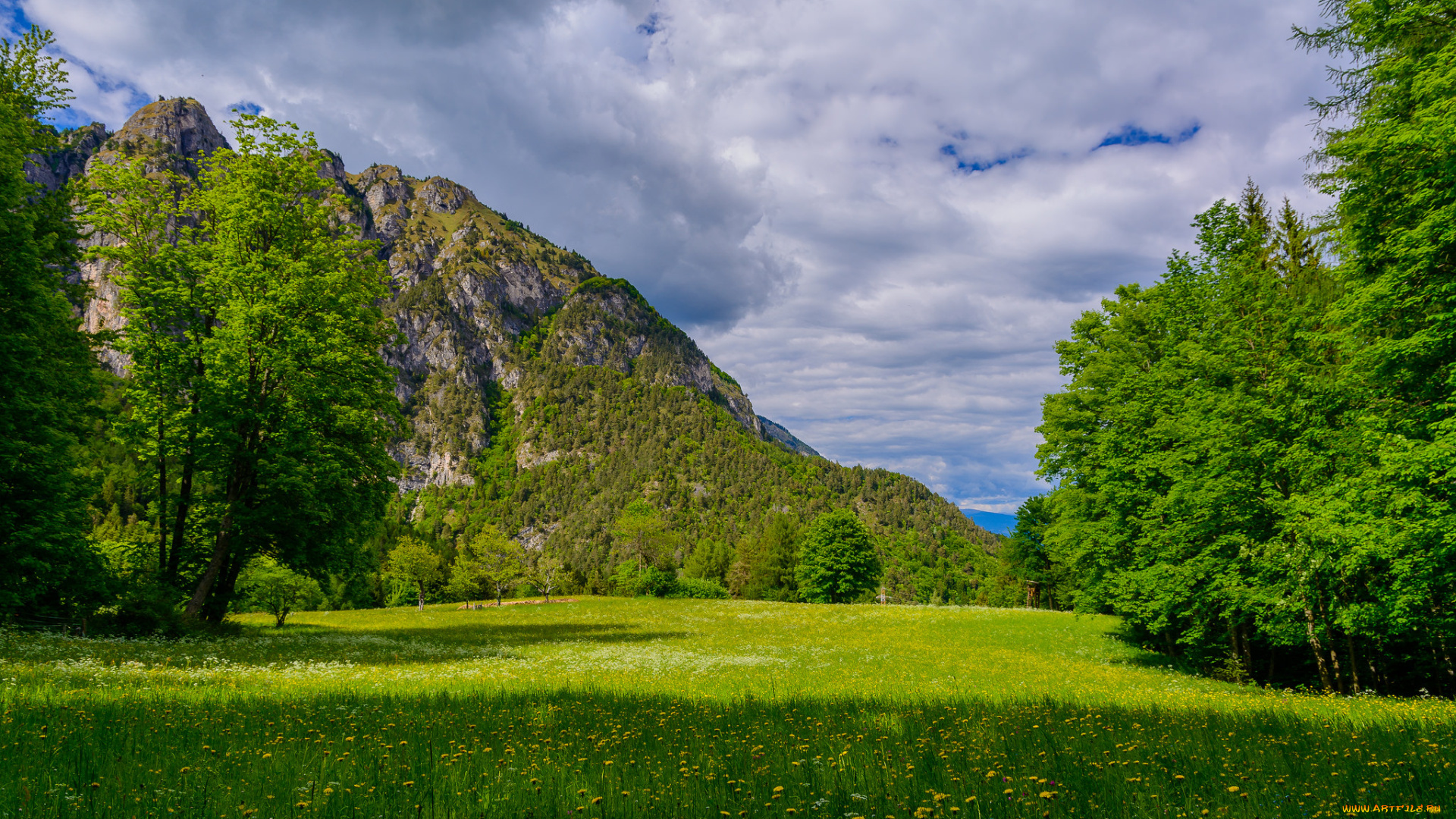 природа, луга, трава, лес, горы